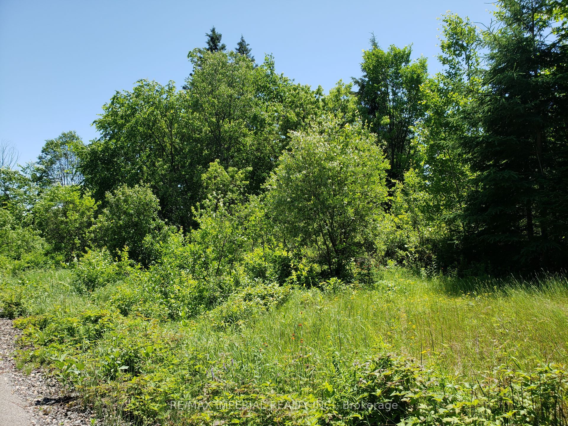 15572 Highway 17 Property Photo 6