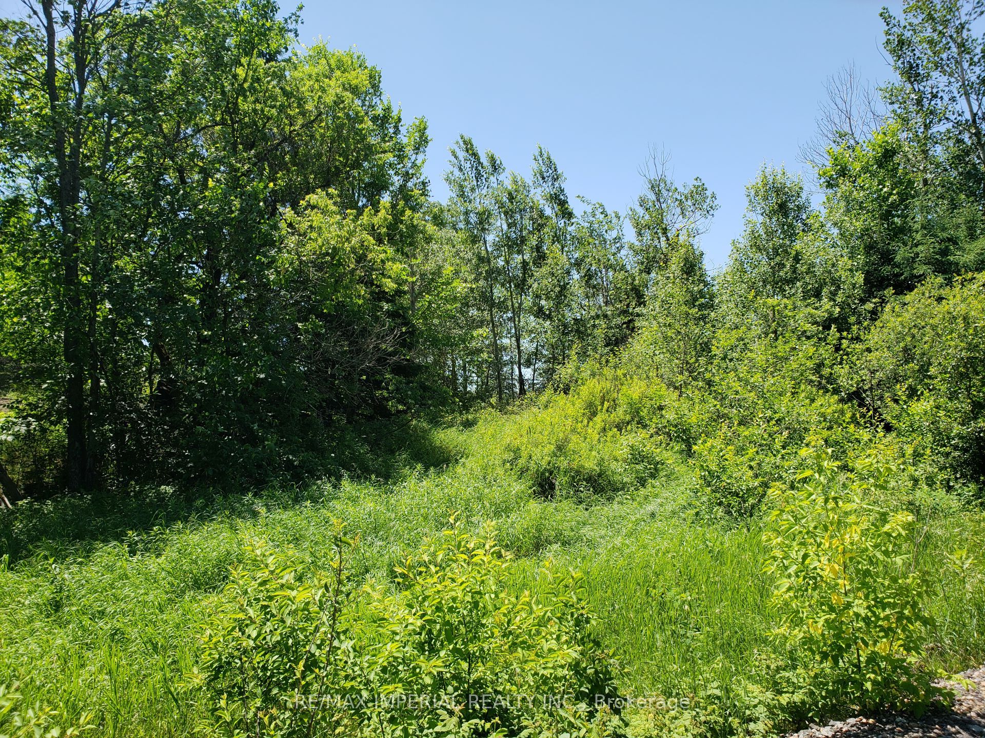 15572 Highway 17 Property Photo 7