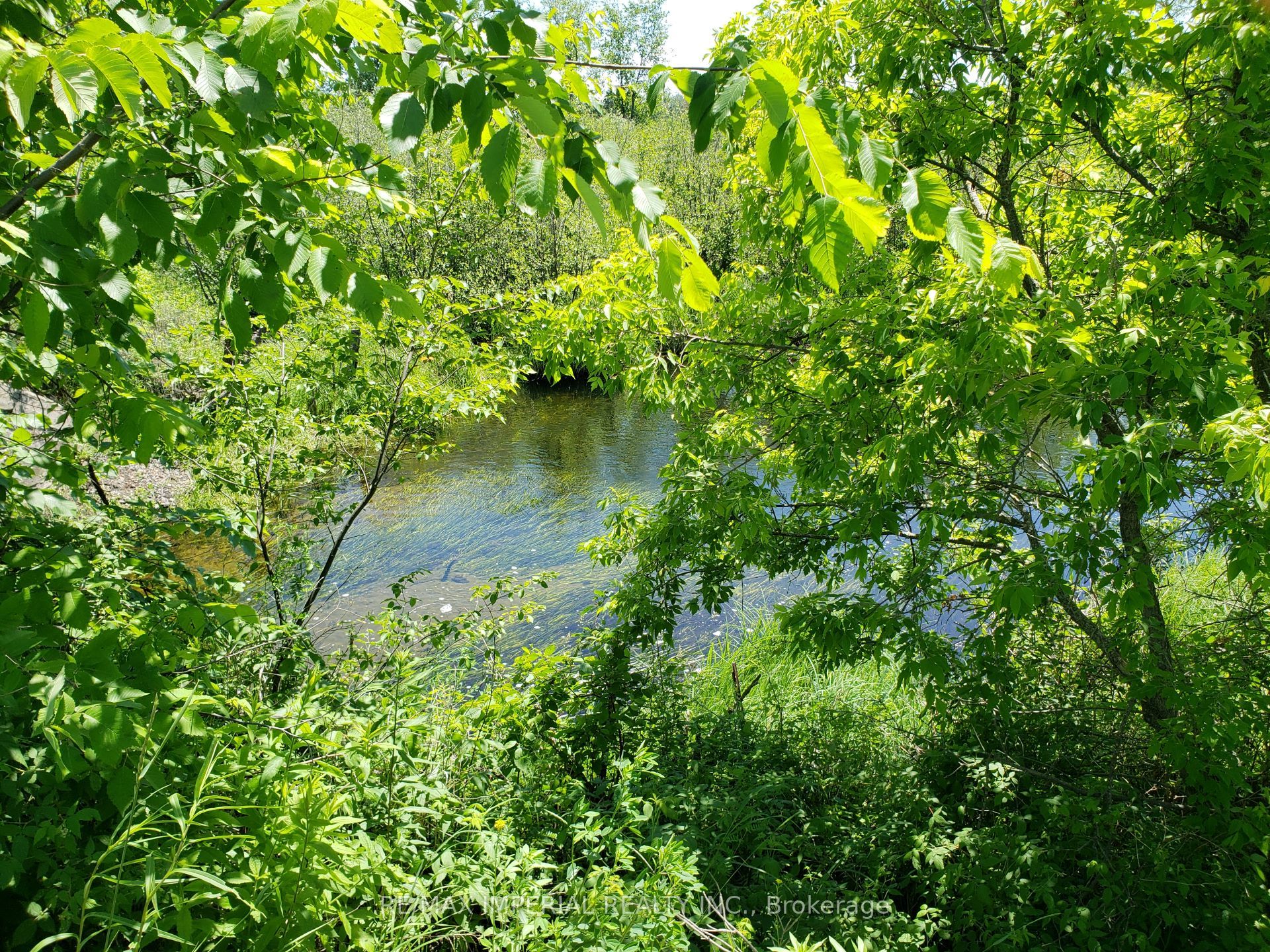 15572 Highway 17 Property Photo 8