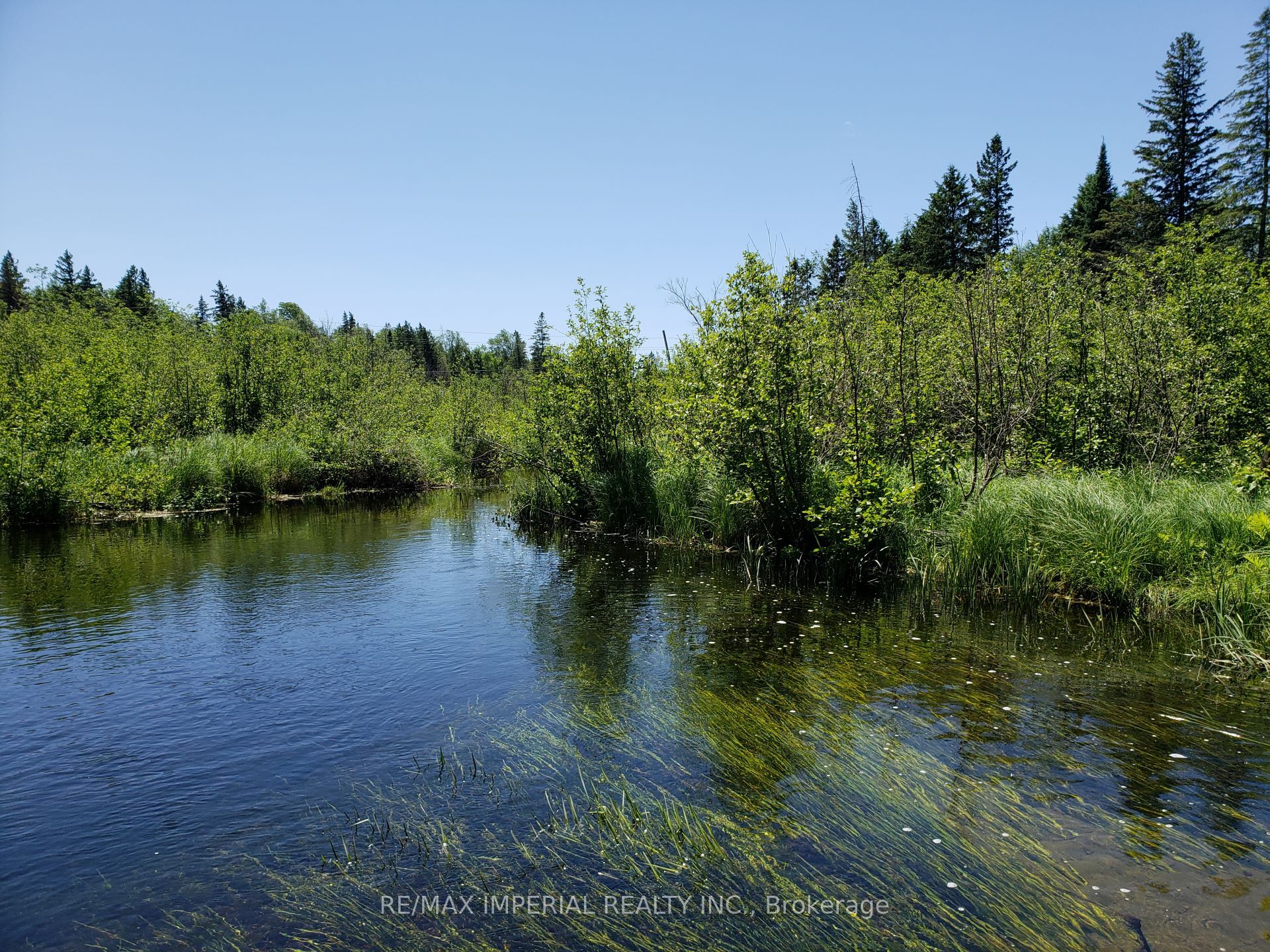 15572 Highway 17 Property Photo 9
