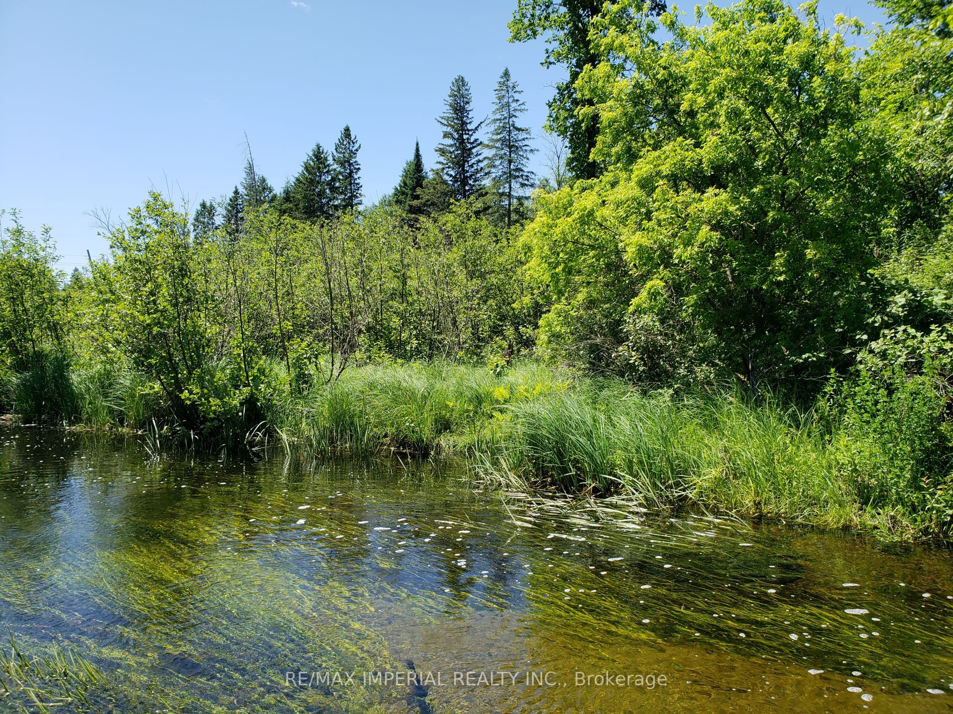 15572 Highway 17 Property Photo 10