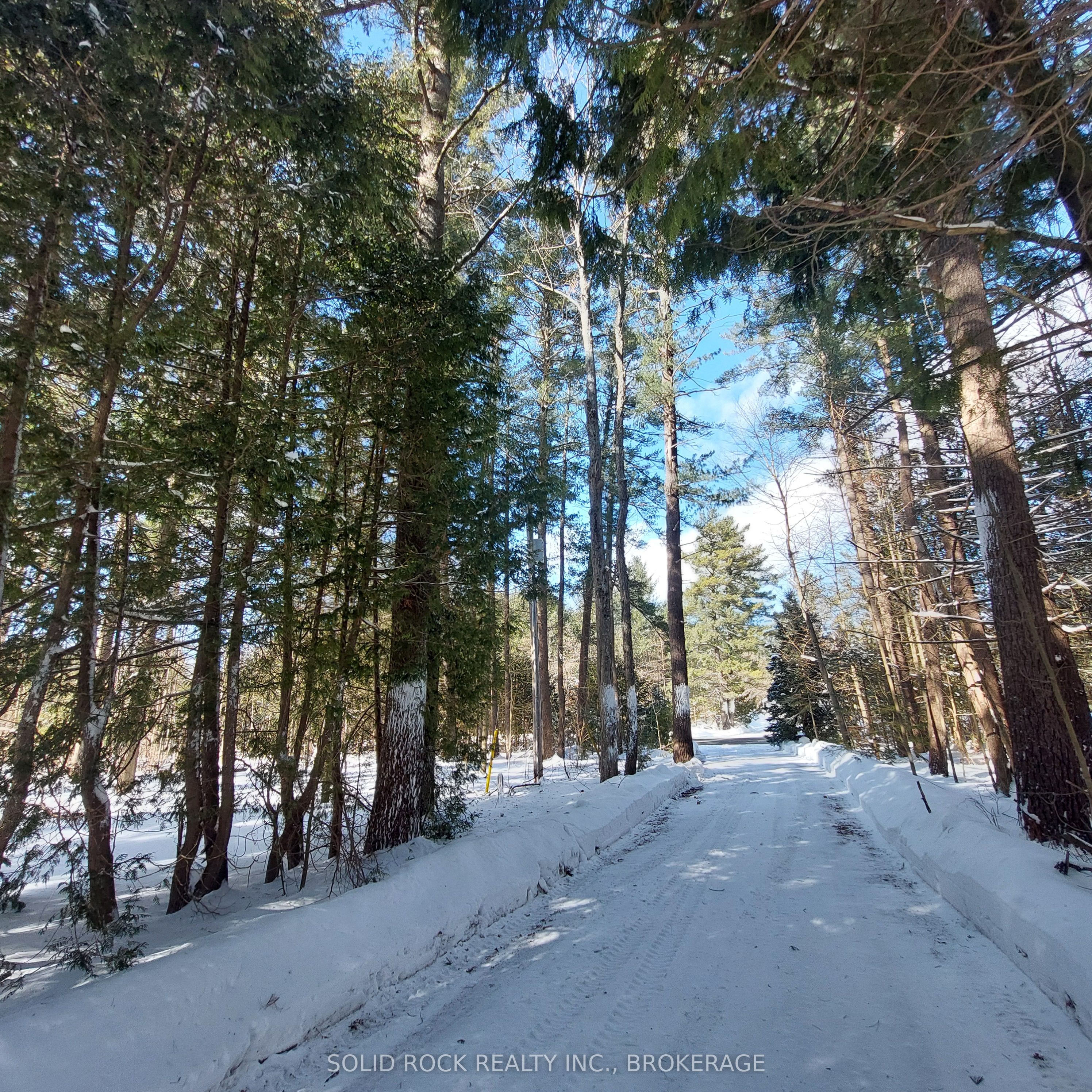 7939 Highway 7 Property Photo