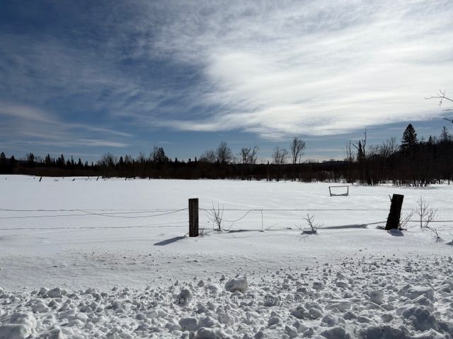 0 Old Muskoka To The West Side Of #1105 Road Property Photo 1