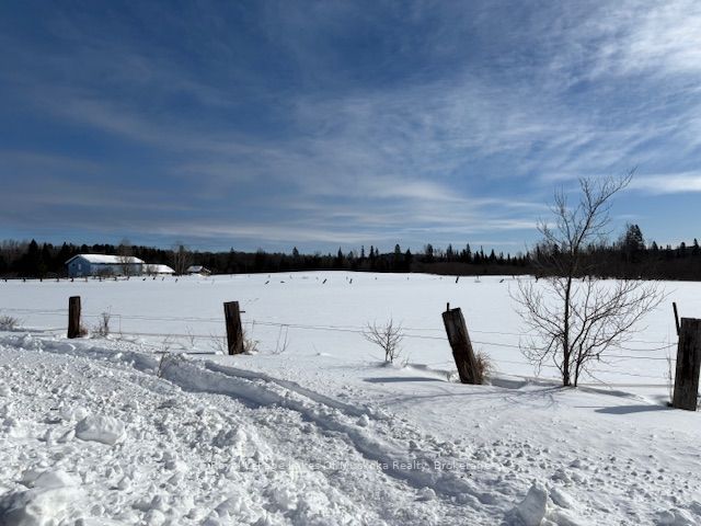0 Old Muskoka To The West Side Of #1105 Road Property Photo 5