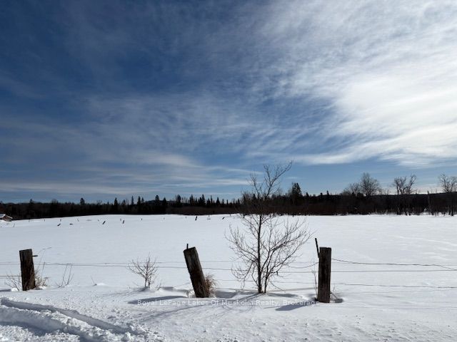 0 Old Muskoka To The West Side Of #1105 Road Property Photo 6