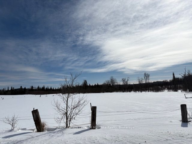 0 Old Muskoka To The West Side Of #1105 Road Property Photo 7