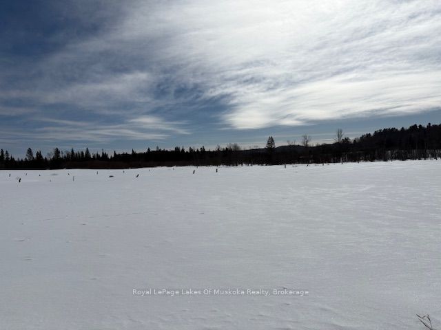 0 Old Muskoka To The West Side Of #1105 Road Property Photo 8