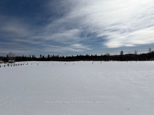 0 Old Muskoka To The West Side Of #1105 Road Property Photo 9