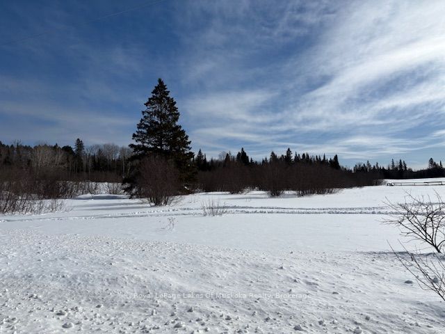 0 Old Muskoka To The East Side Of #1105 Road Property Photo 5