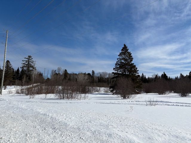 0 Old Muskoka To The East Side Of #1105 Road Property Photo 7