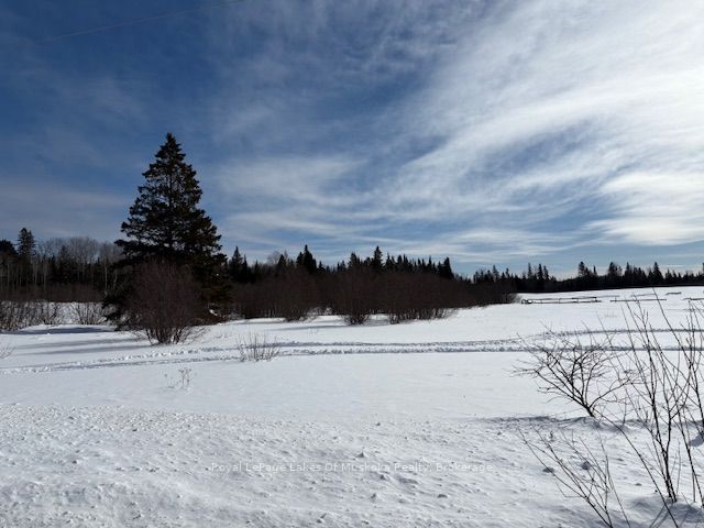 0 Old Muskoka To The East Side Of #1105 Road Property Photo 8
