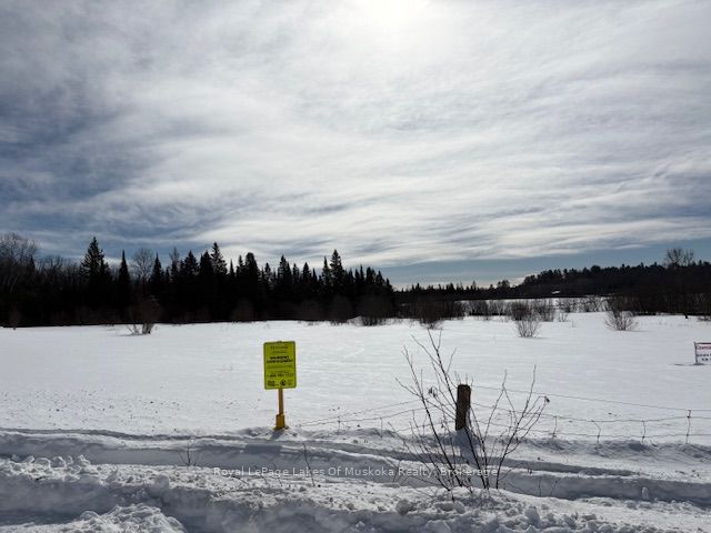 0 Old Muskoka To The East Side Of #1105 Road Property Photo 9