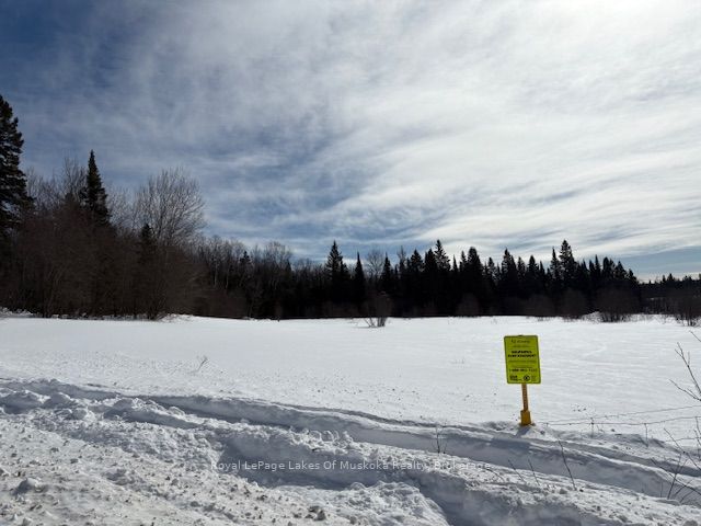 0 Old Muskoka To The East Side Of #1105 Road Property Photo 11