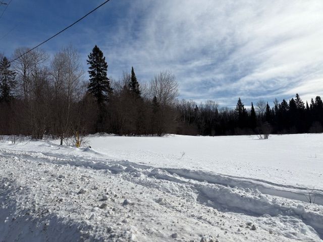 0 Old Muskoka To The East Side Of #1105 Road Property Photo 12