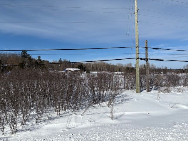 0 Allensville Road Property Photo 11