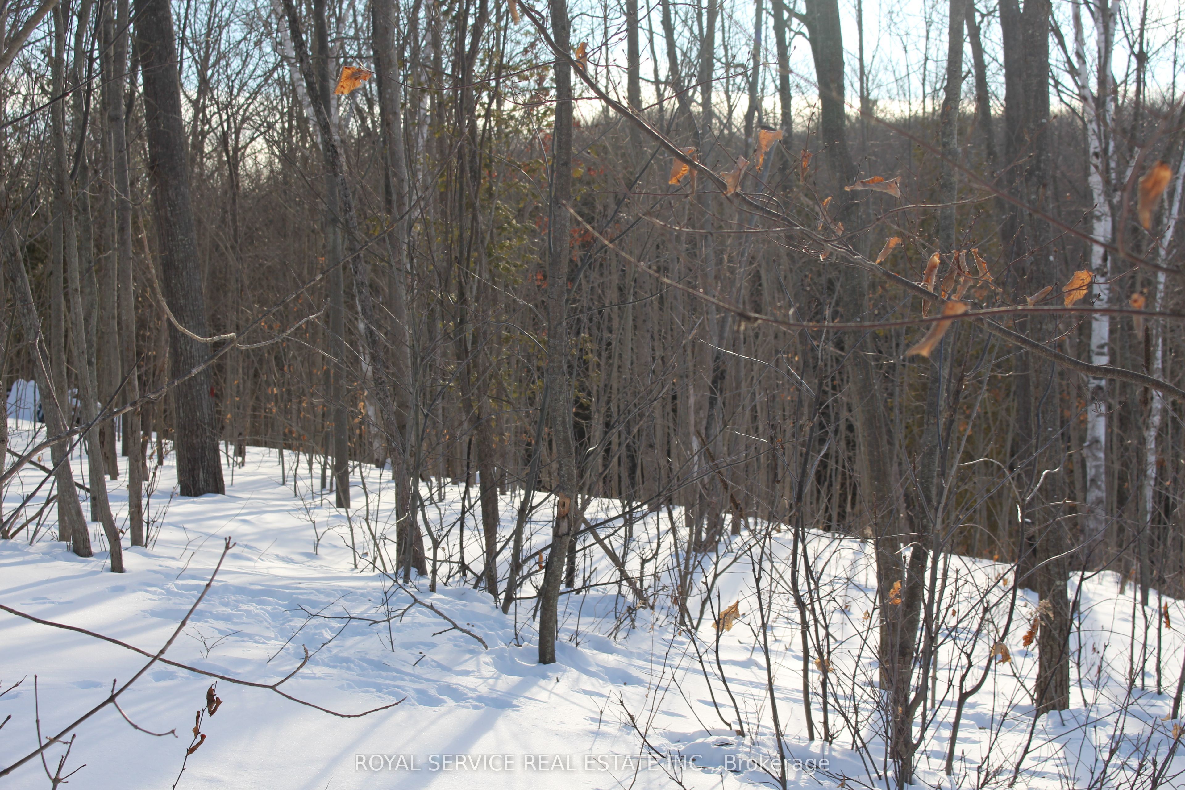 37 Woodlawn Drive Property Photo 12