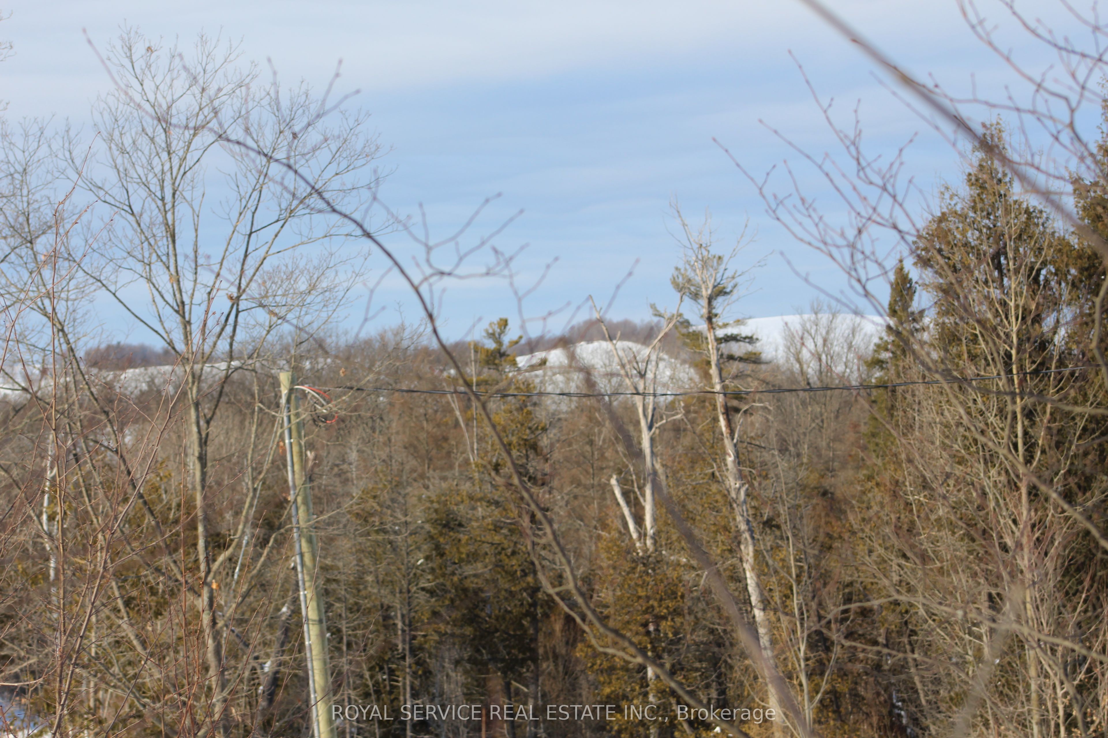 37 Woodlawn Drive Property Photo 14