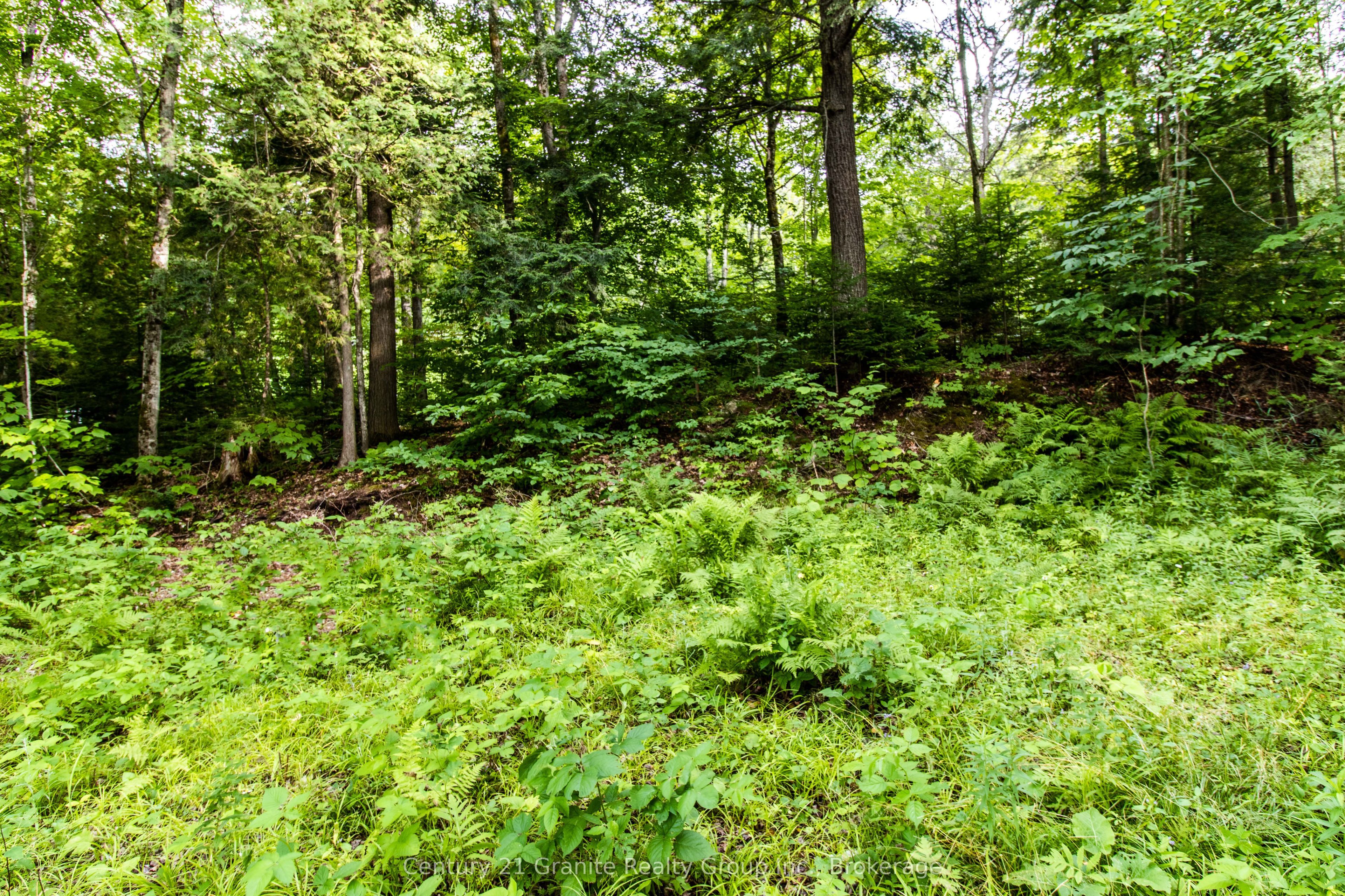 4821 Haliburton Lake Road Property Photo 7