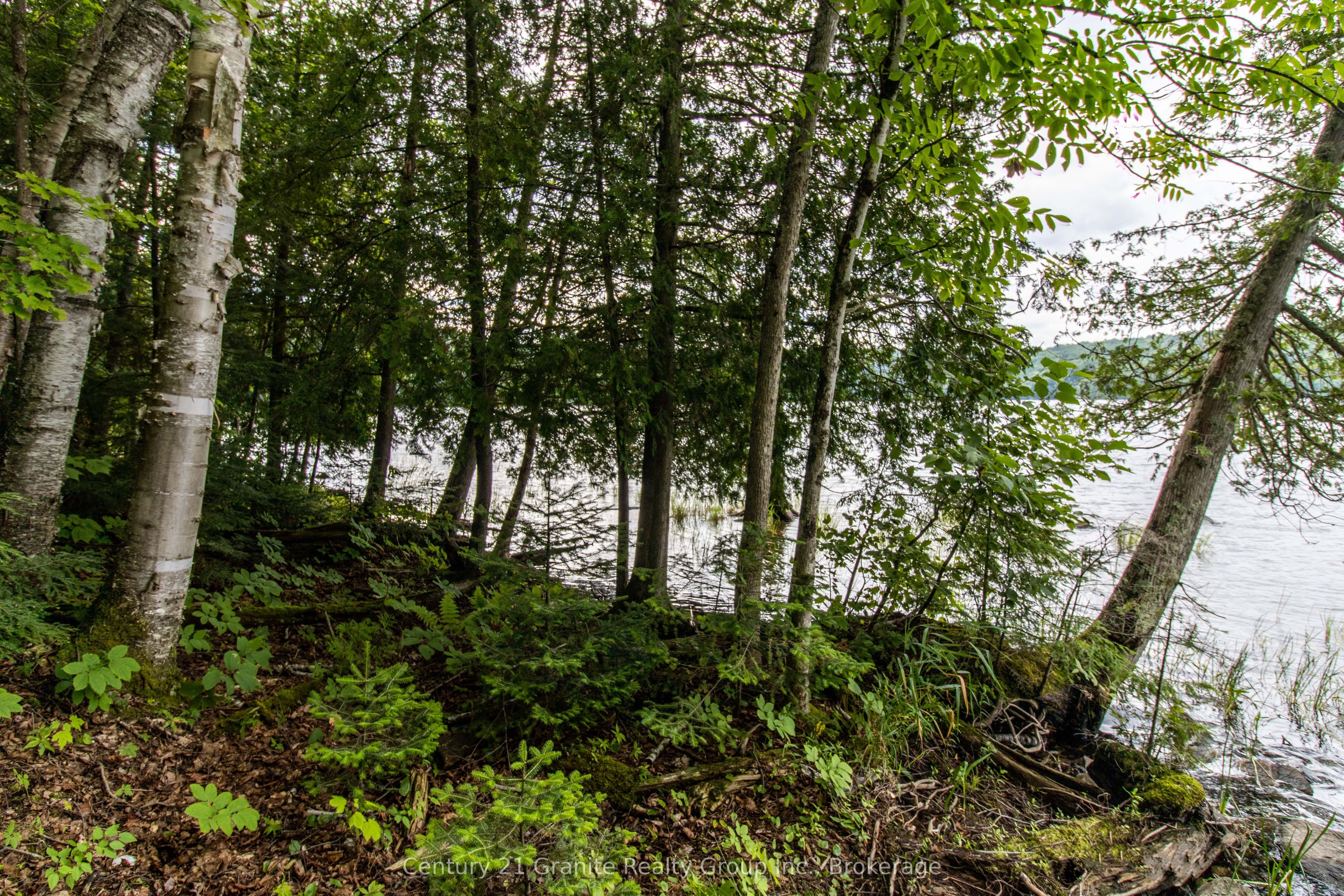 4821 Haliburton Lake Road Property Photo 9