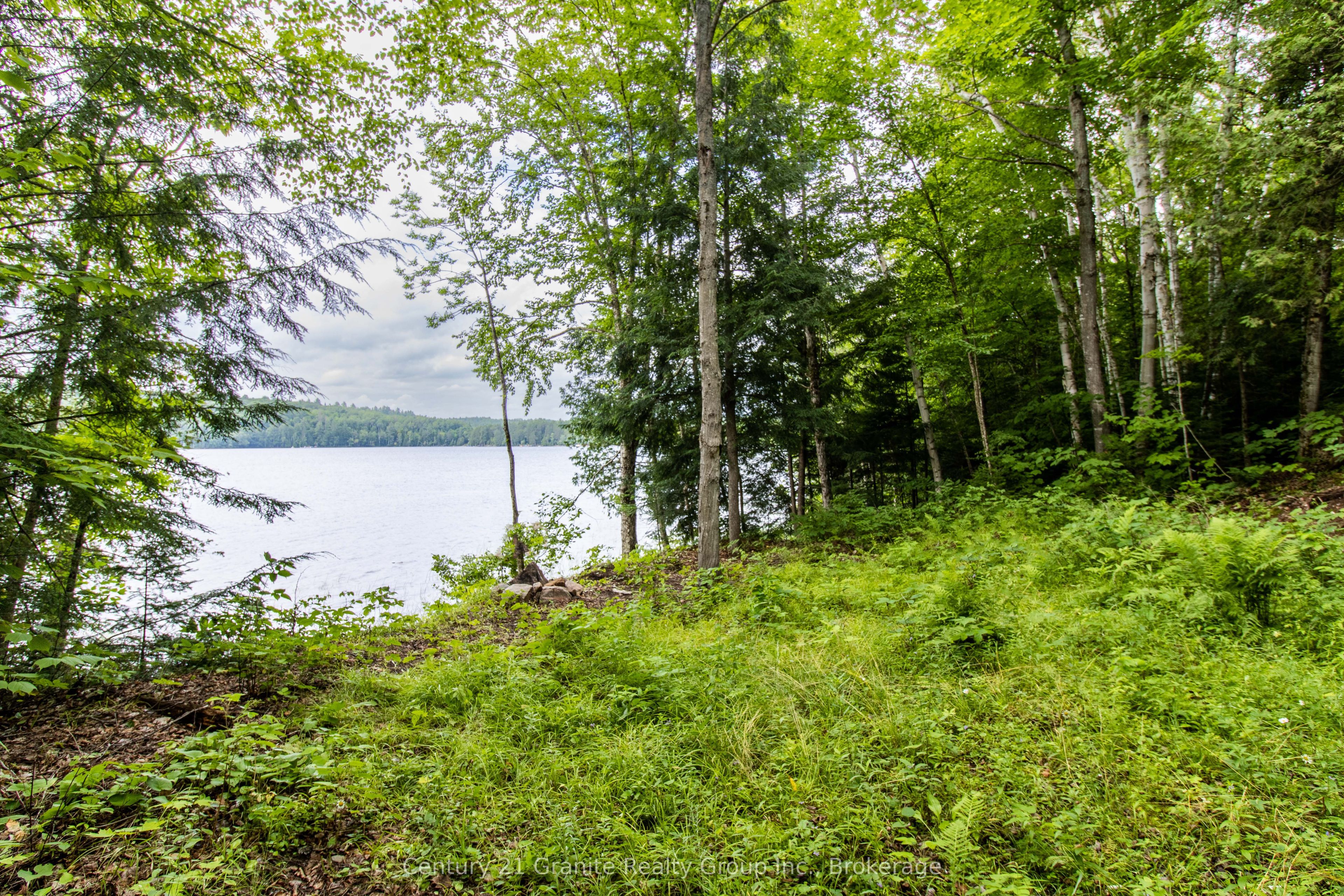 4821 Haliburton Lake Road Property Photo 10