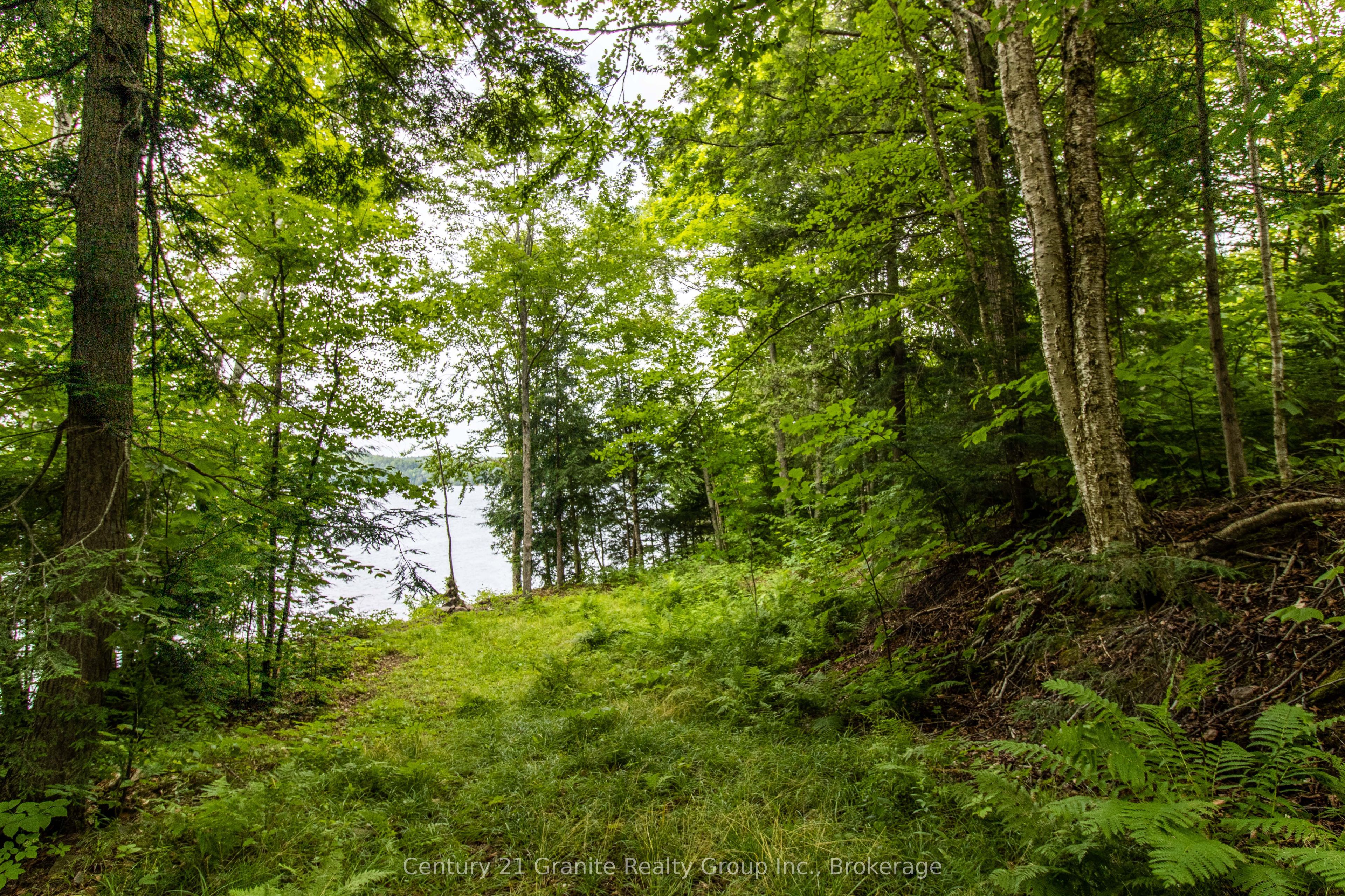 4821 Haliburton Lake Road Property Photo 11