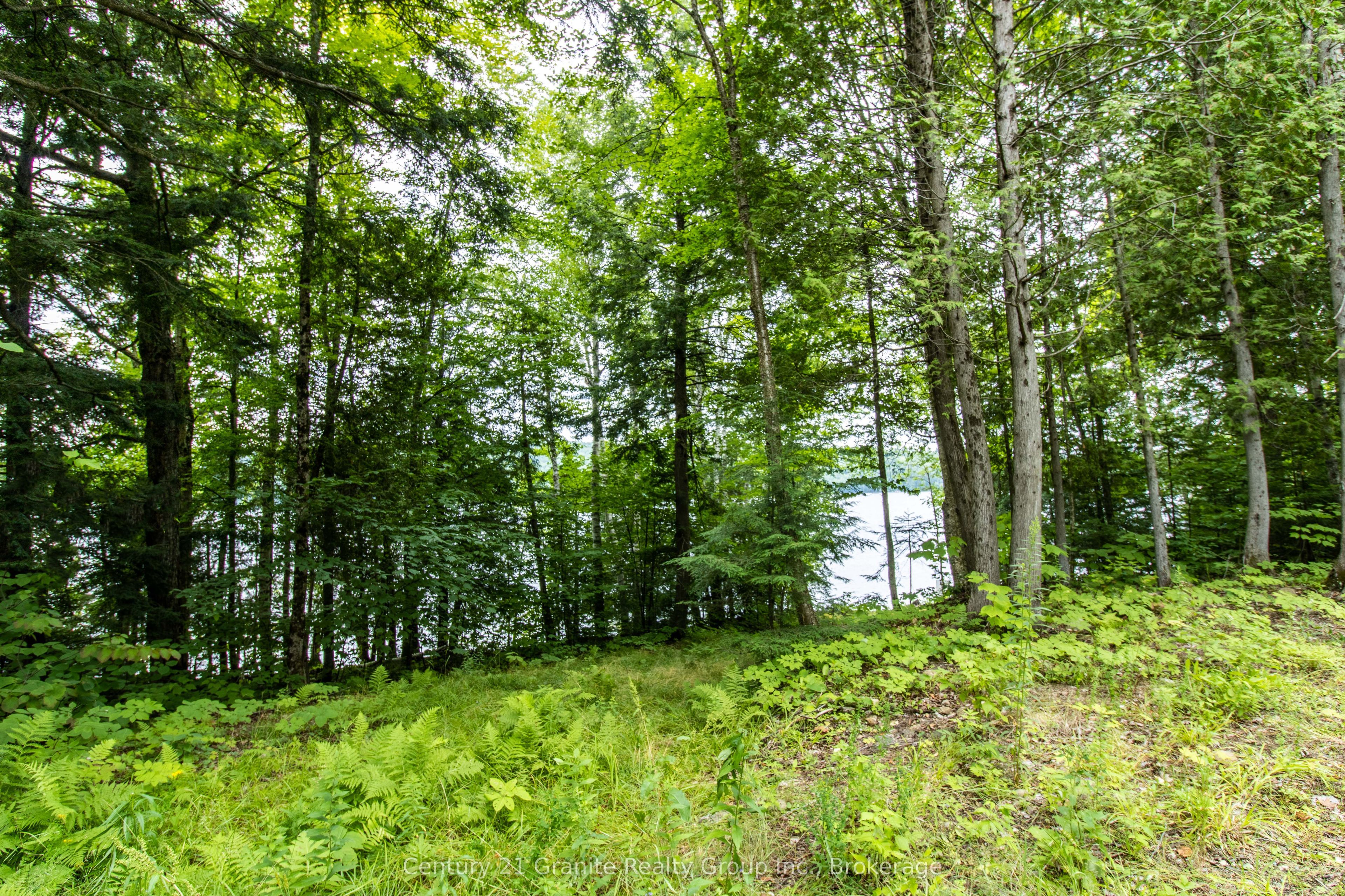 4821 Haliburton Lake Road Property Photo 12
