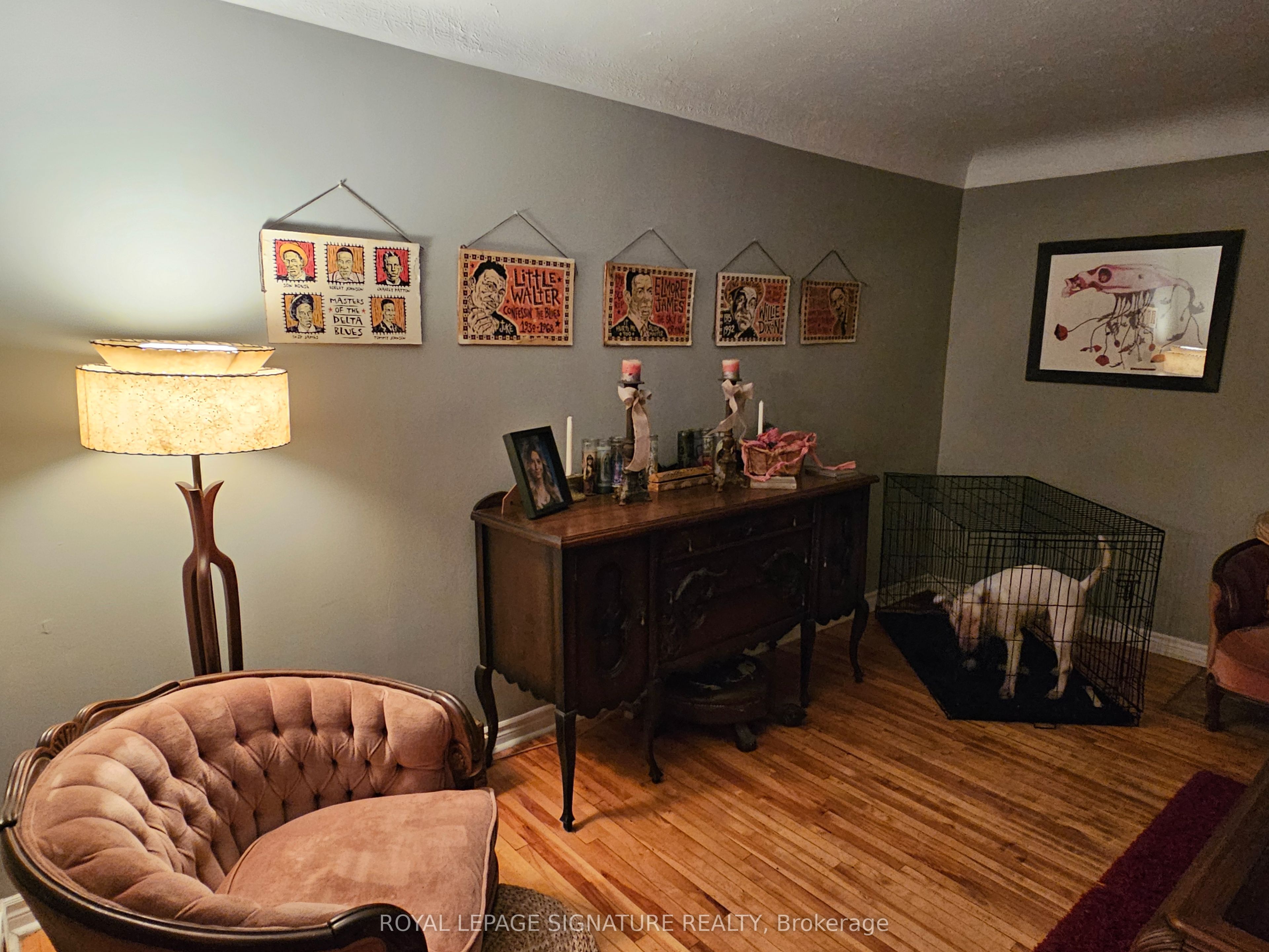 6 Albert St Property Photo 16