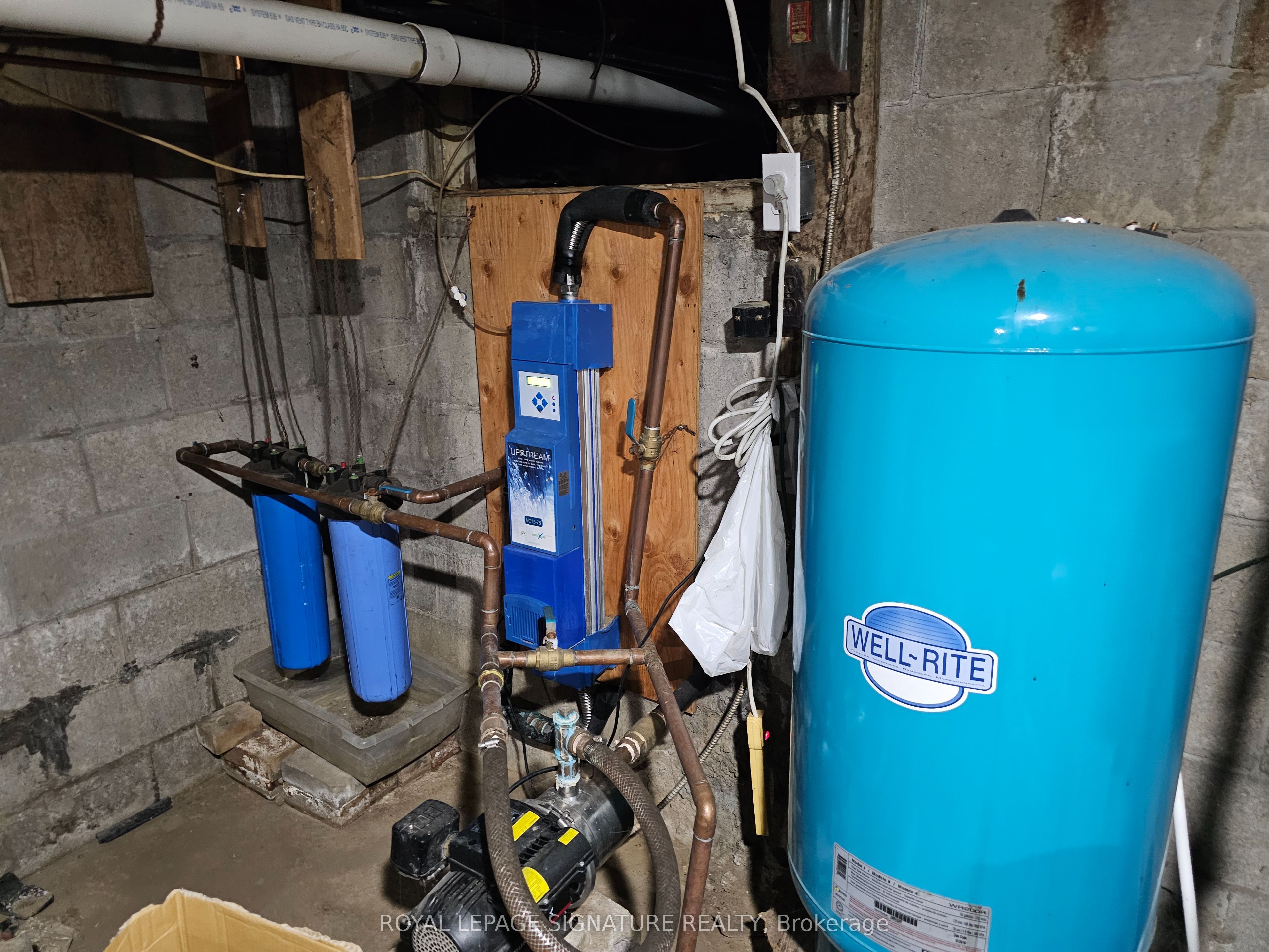 6 Albert St Property Photo 25