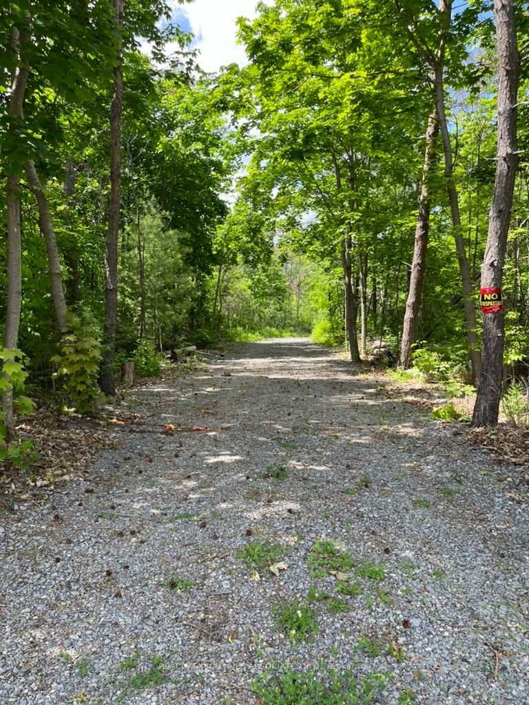 6192 County Rd 50 Property Photo