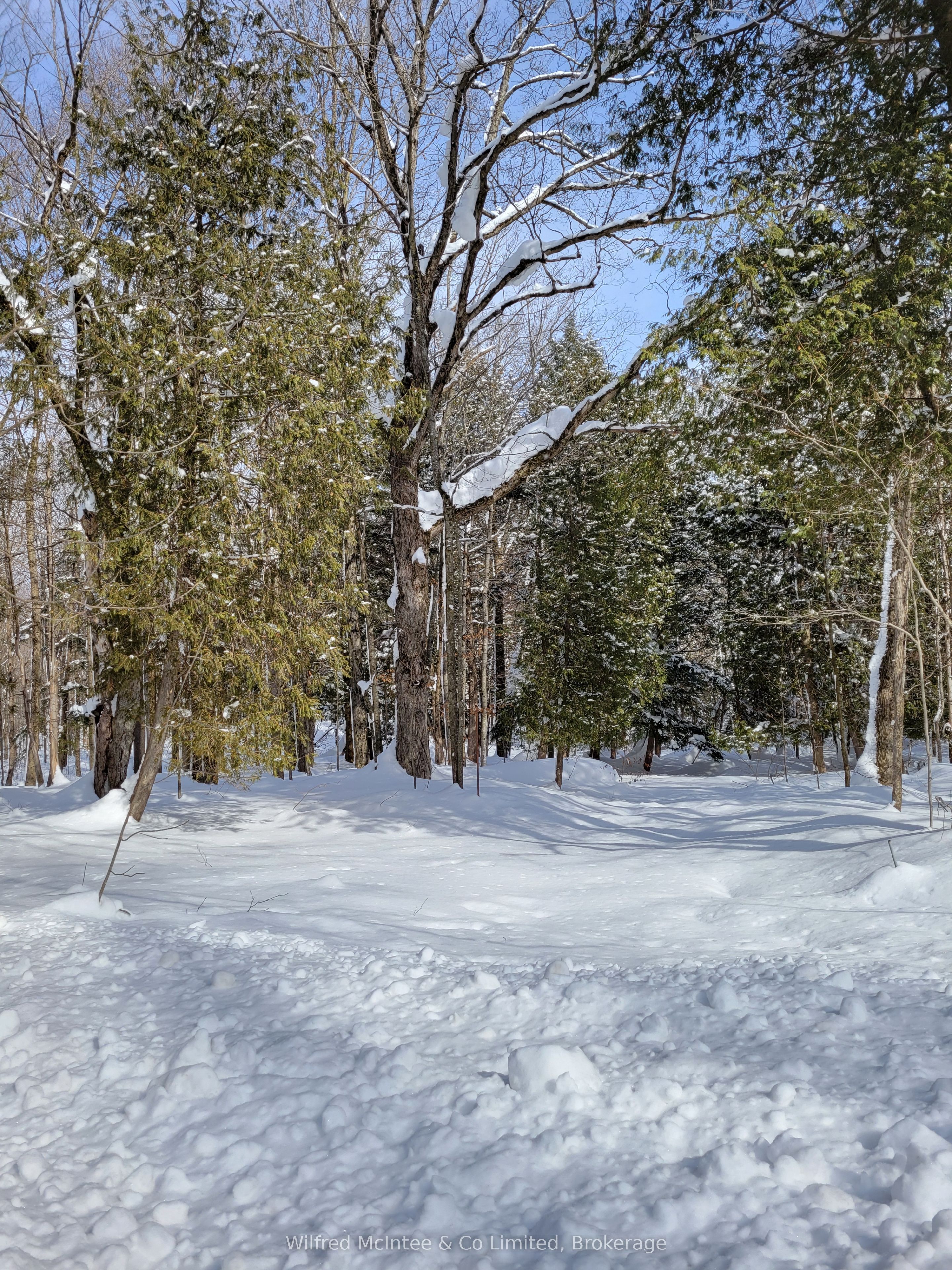 Ptlt 26 Mulock Road Property Photo