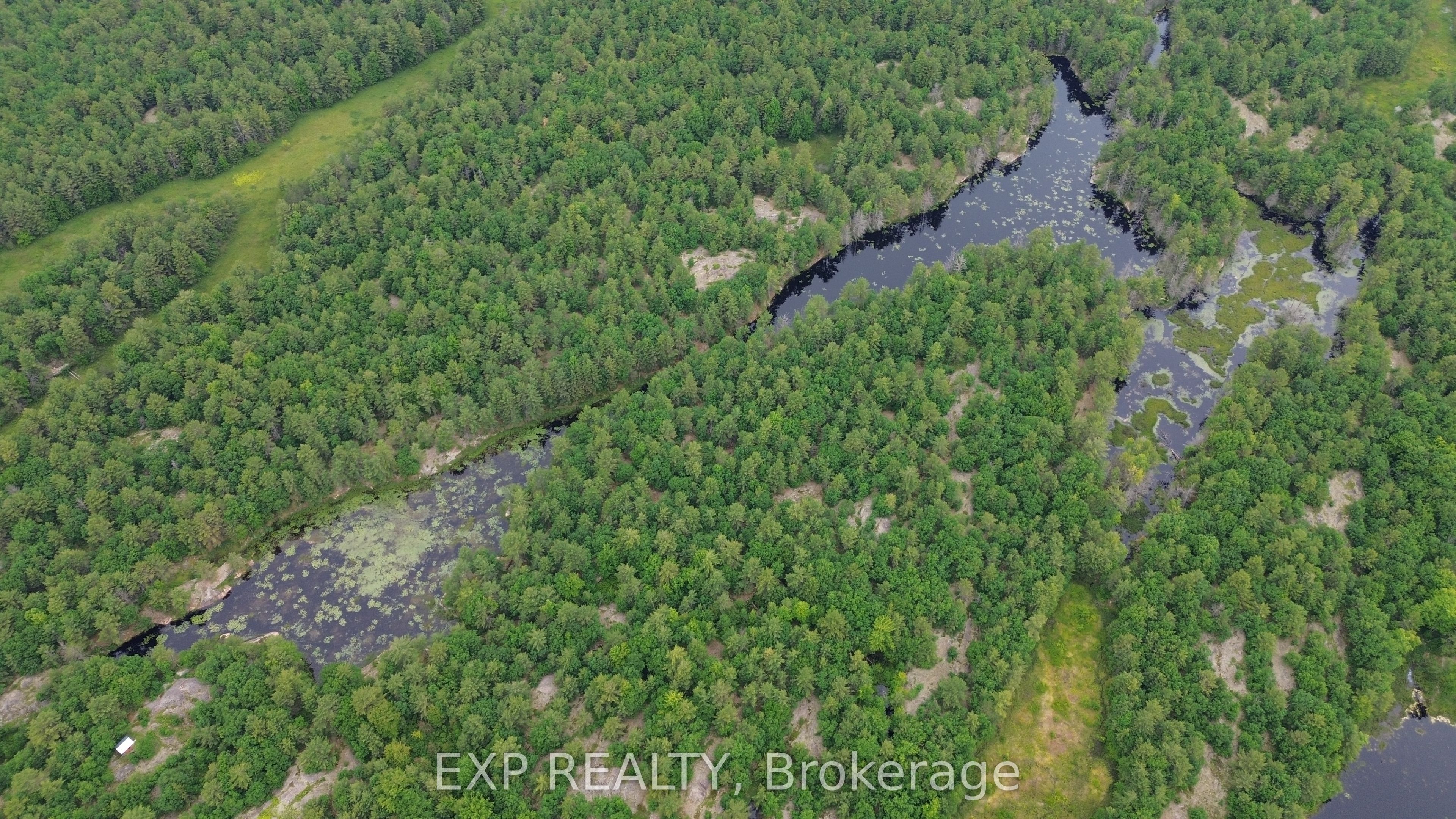 3950 Severn River Shore Property Photo 35