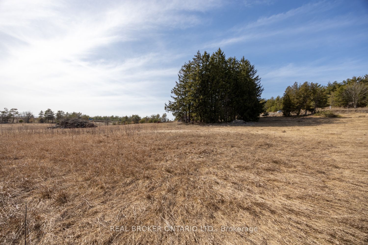 Part Lot 11 Concession 2 Manvers Part 3 Property Photo 3