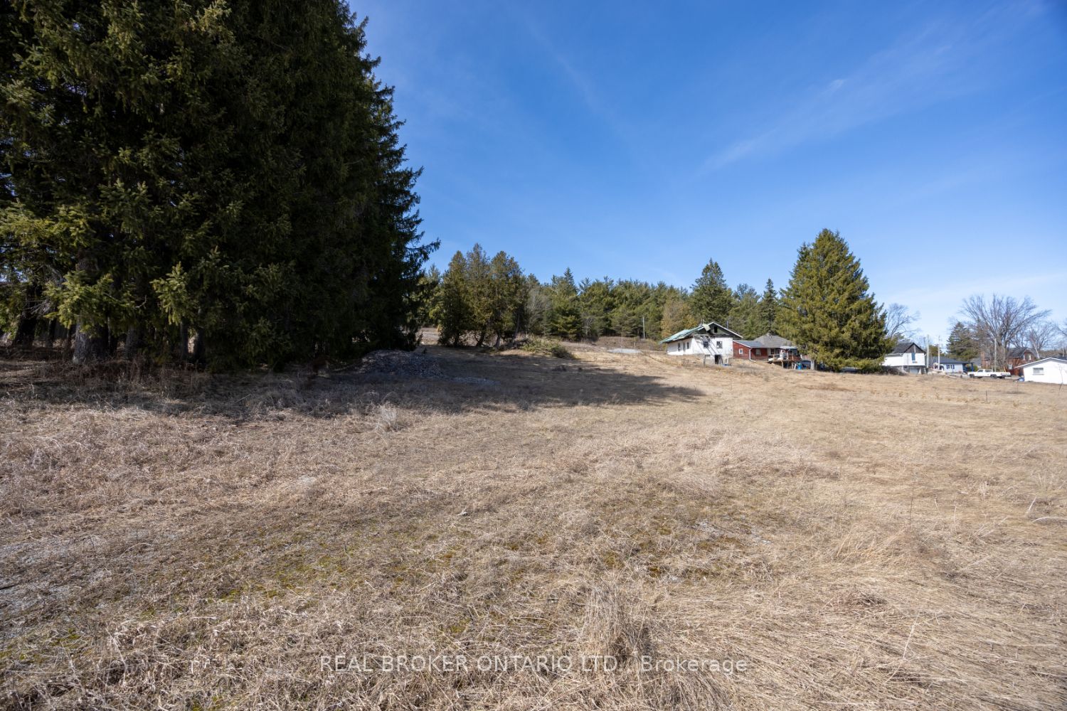Part Lot 11 Concession 2 Manvers Part 3 Property Photo 6