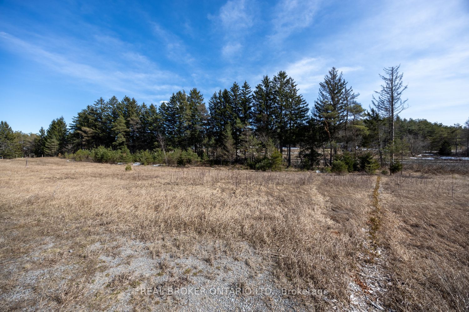 Part Lot 11 Concession 2 Manvers Part 3 Property Photo 9