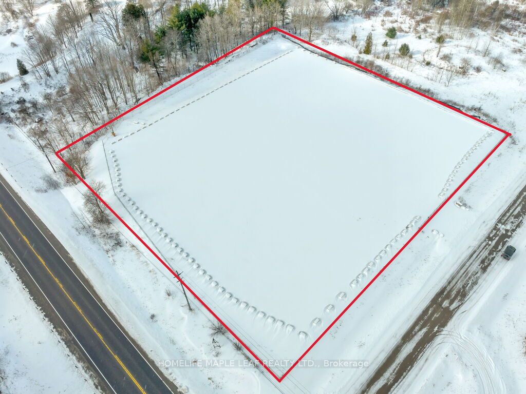 100 Fellows Road Property Photo 1