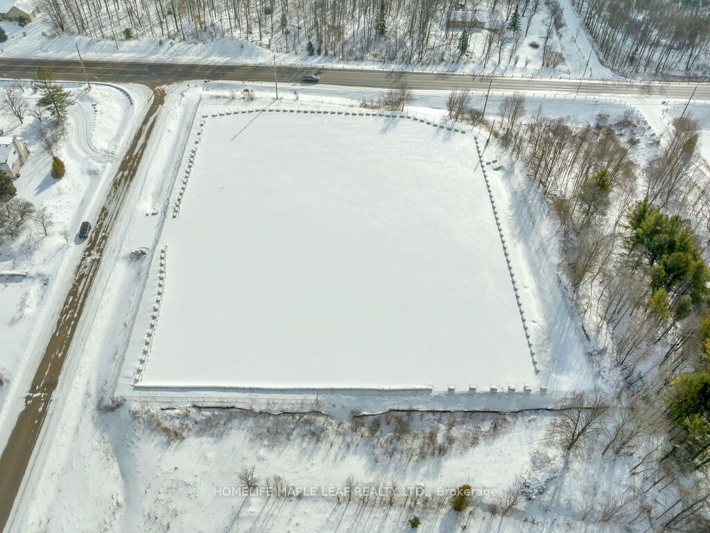 100 Fellows Road Property Photo 6