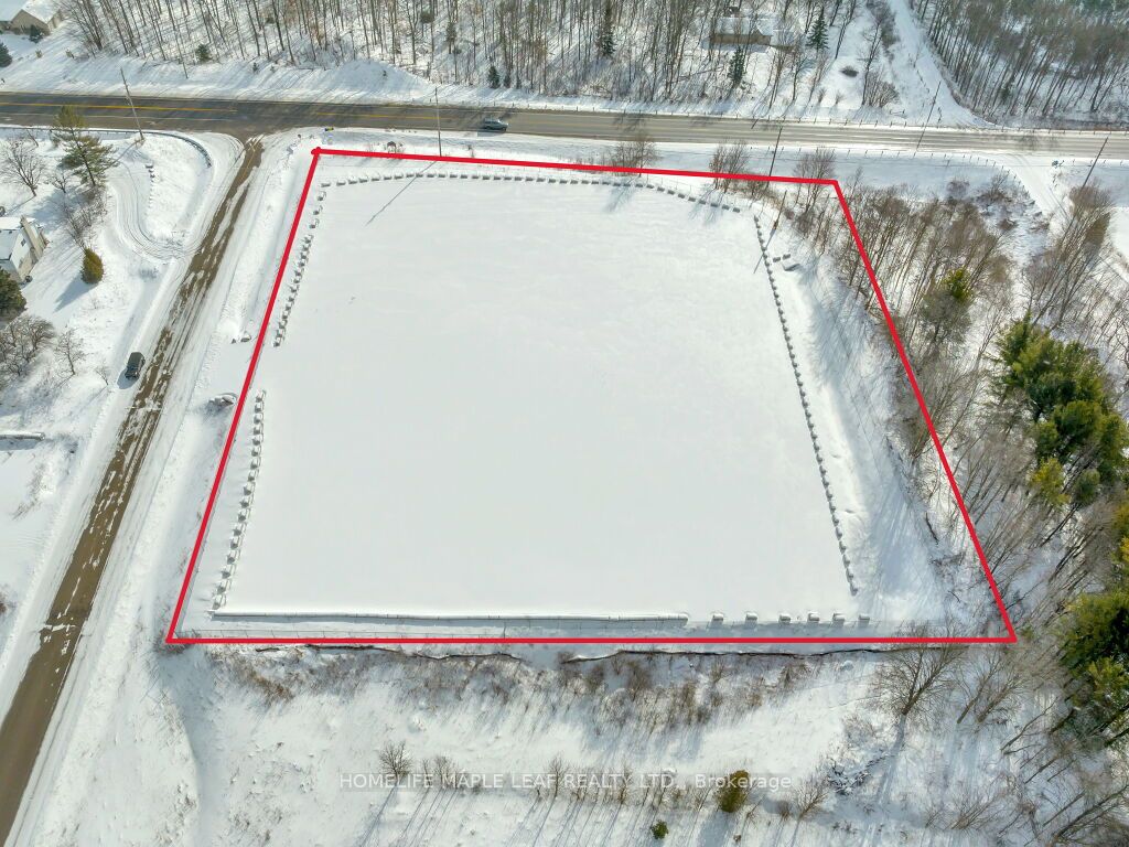 100 Fellows Road Property Photo 7