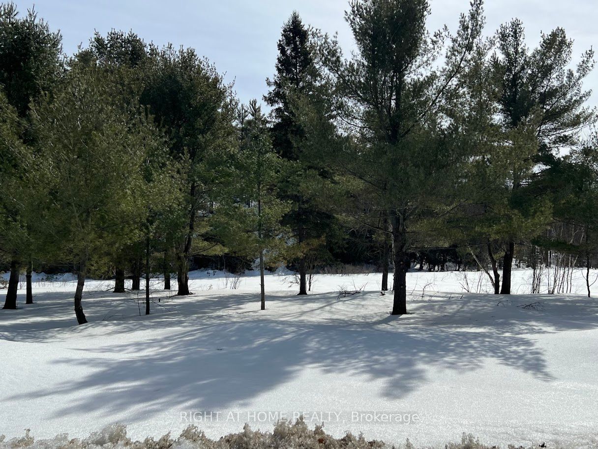 1 Long Lake Estates Road Property Photo 2