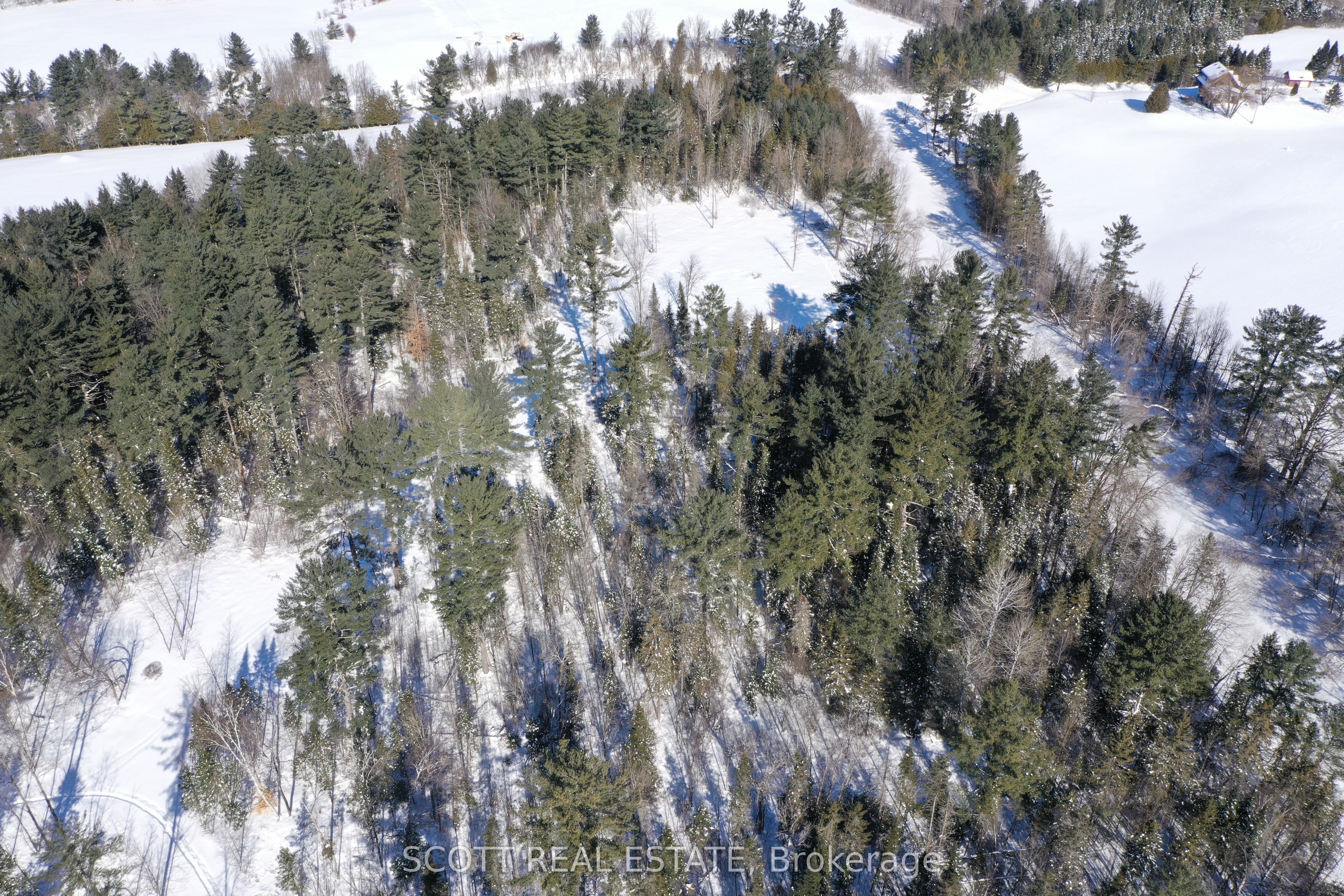 000 Mud Lake Road Property Photo 2