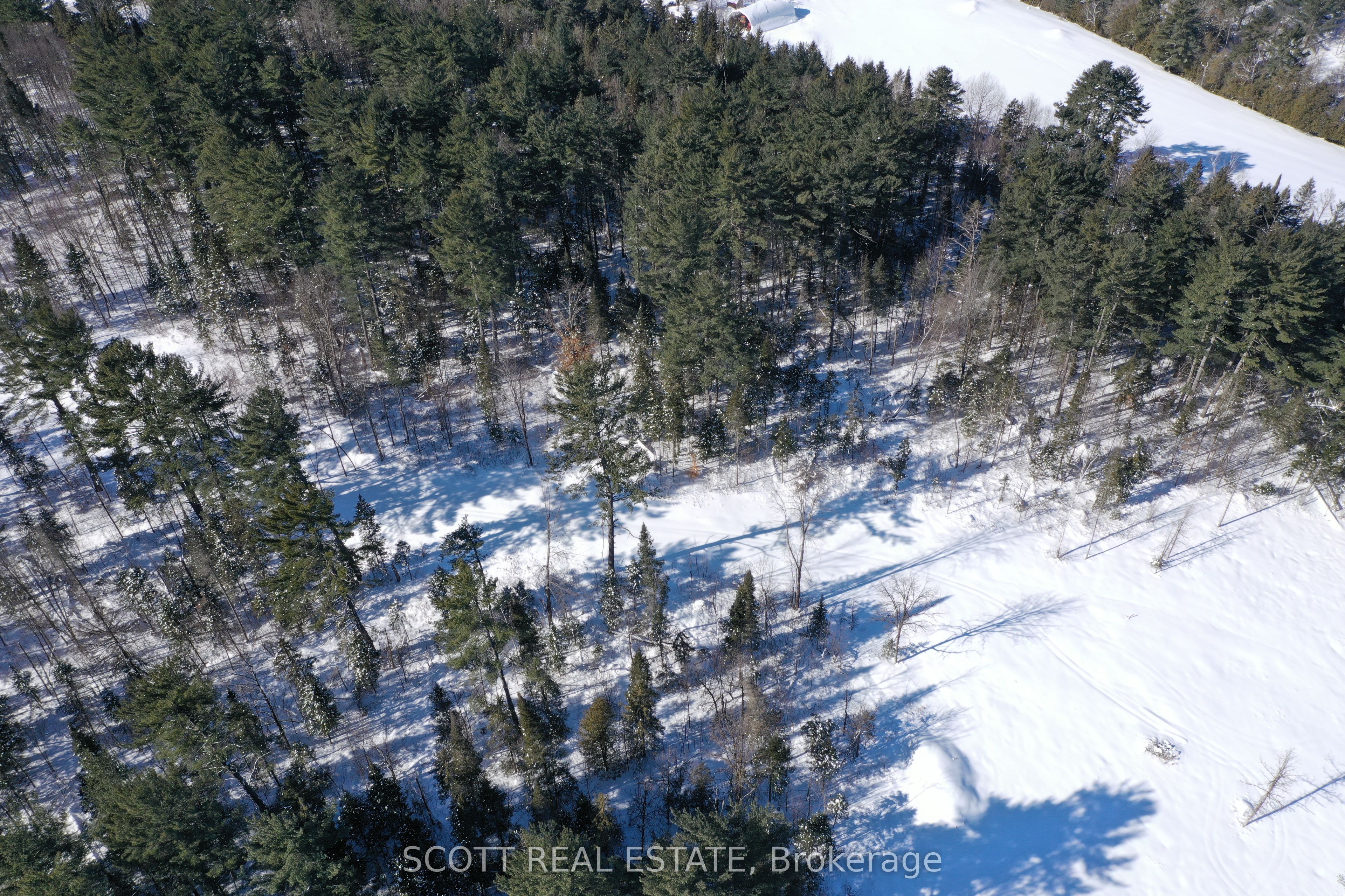000 Mud Lake Road Property Photo 4