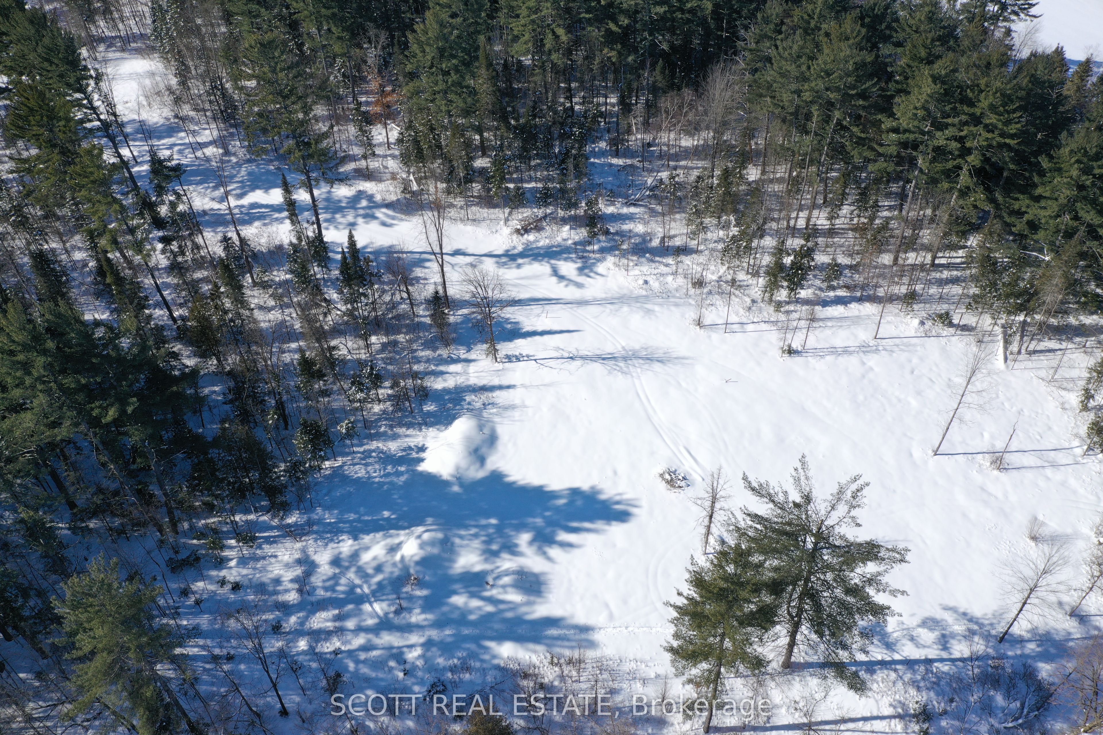 000 Mud Lake Road Property Photo 5