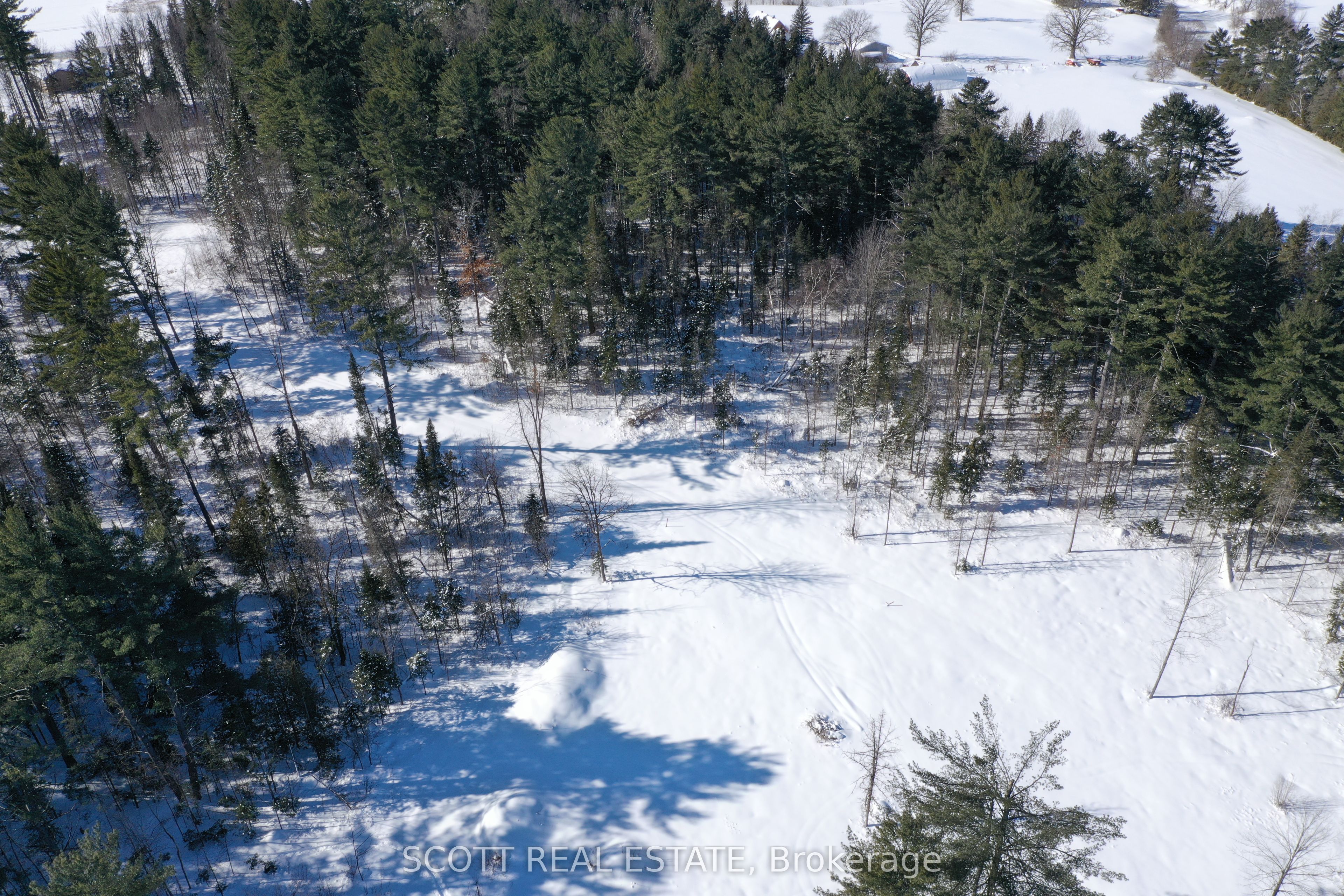 000 Mud Lake Road Property Photo 6