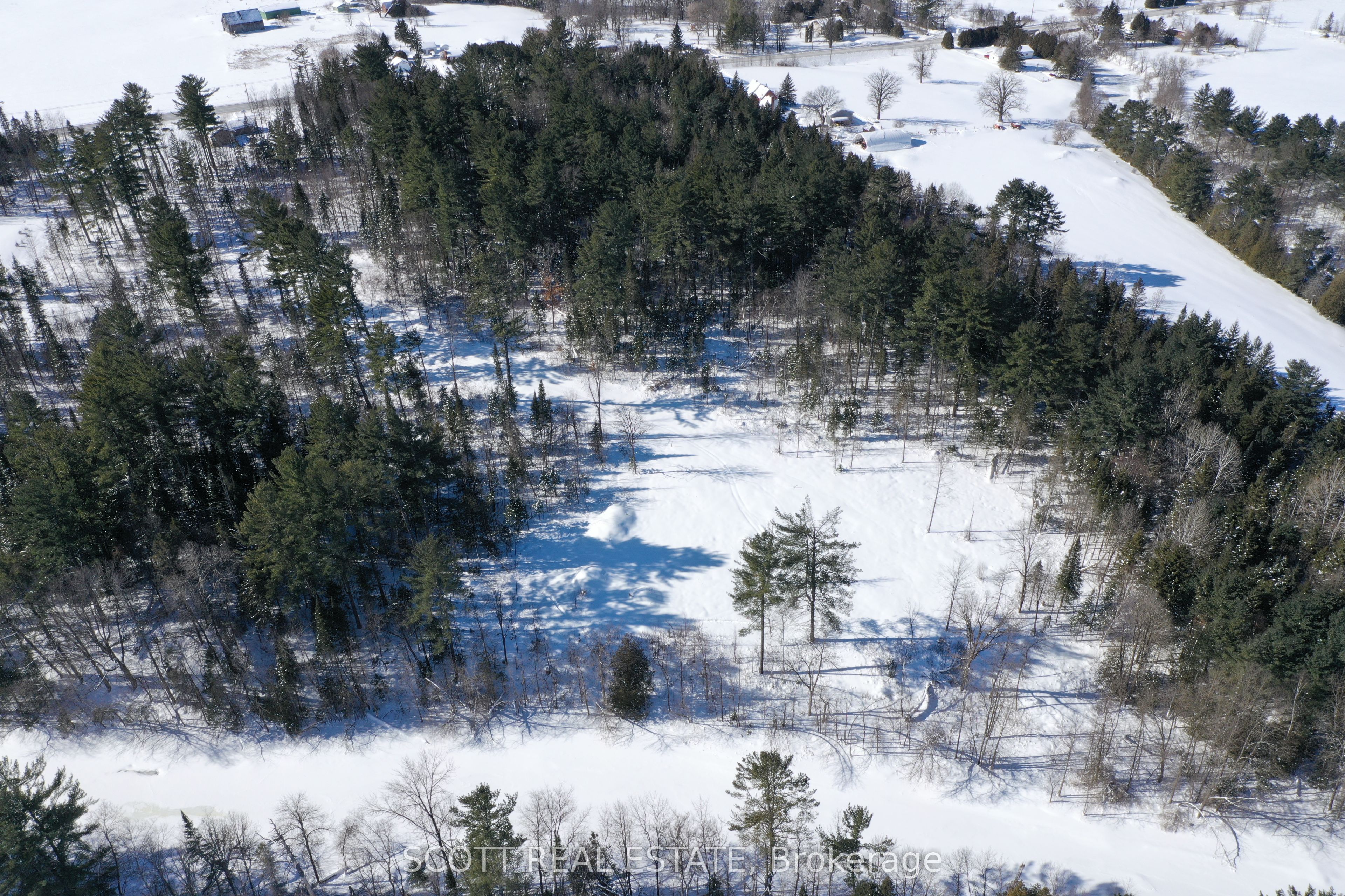 000 Mud Lake Road Property Photo 7