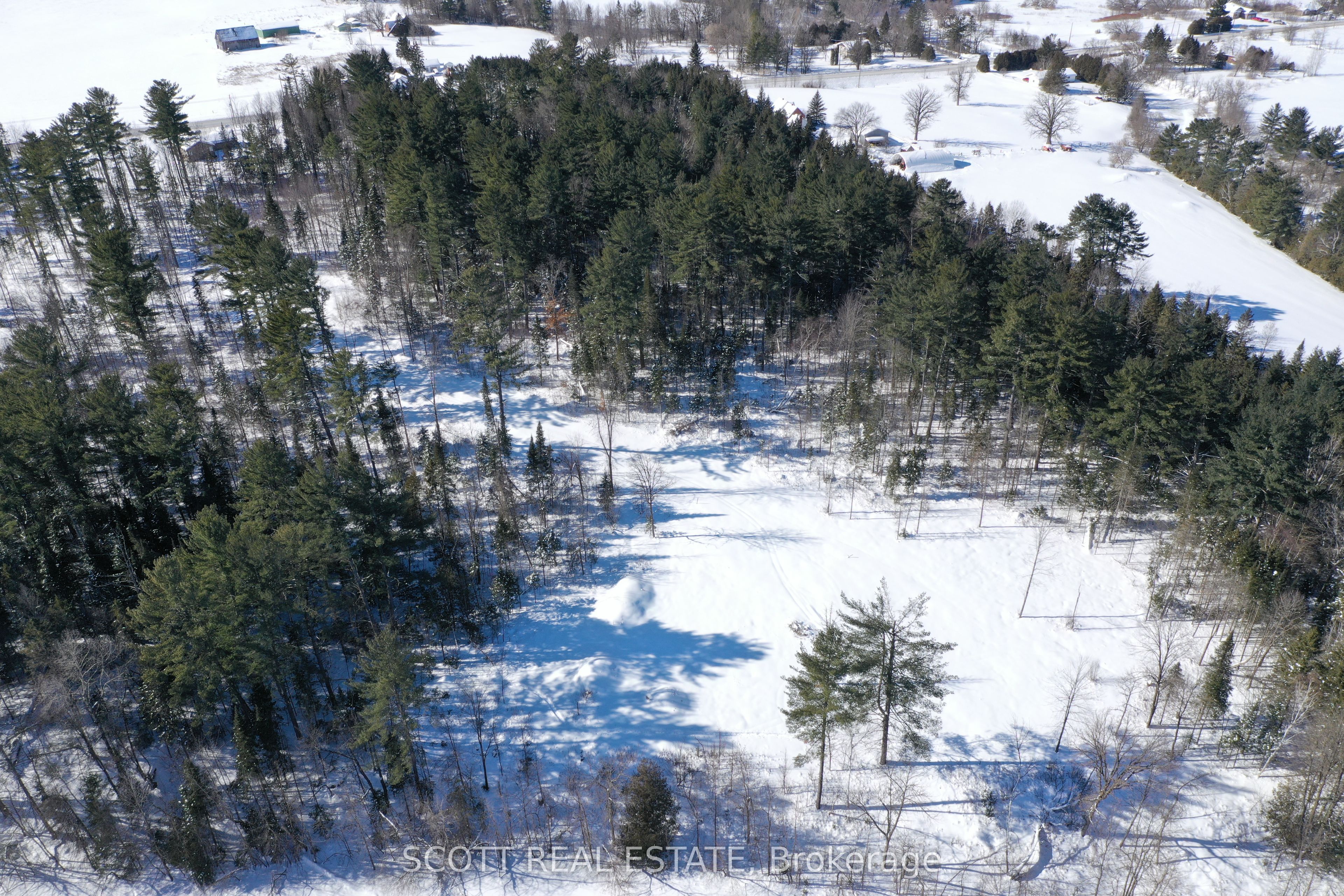 000 Mud Lake Road Property Photo 8