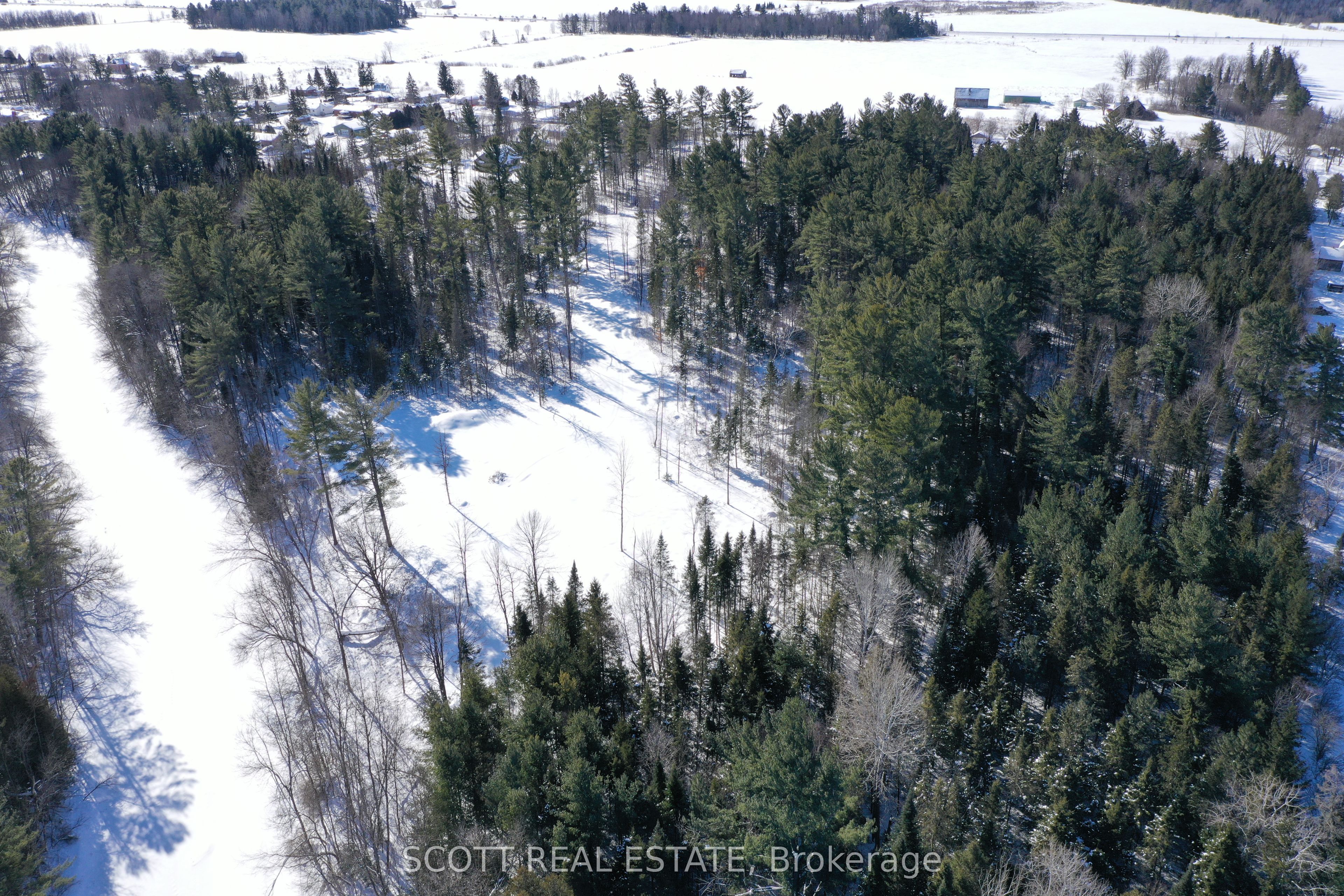 000 Mud Lake Road Property Photo 11
