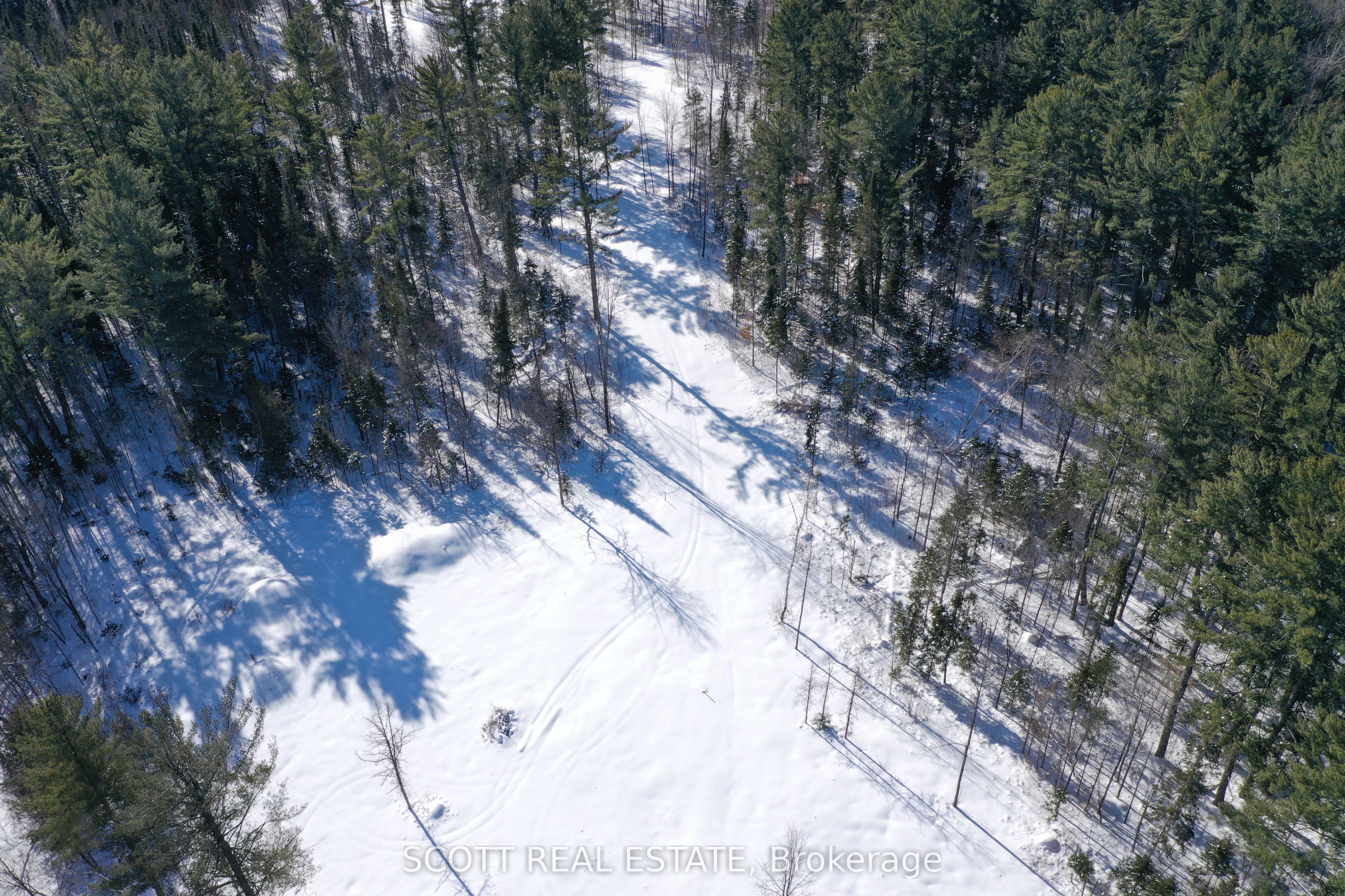 000 Mud Lake Road Property Photo 12