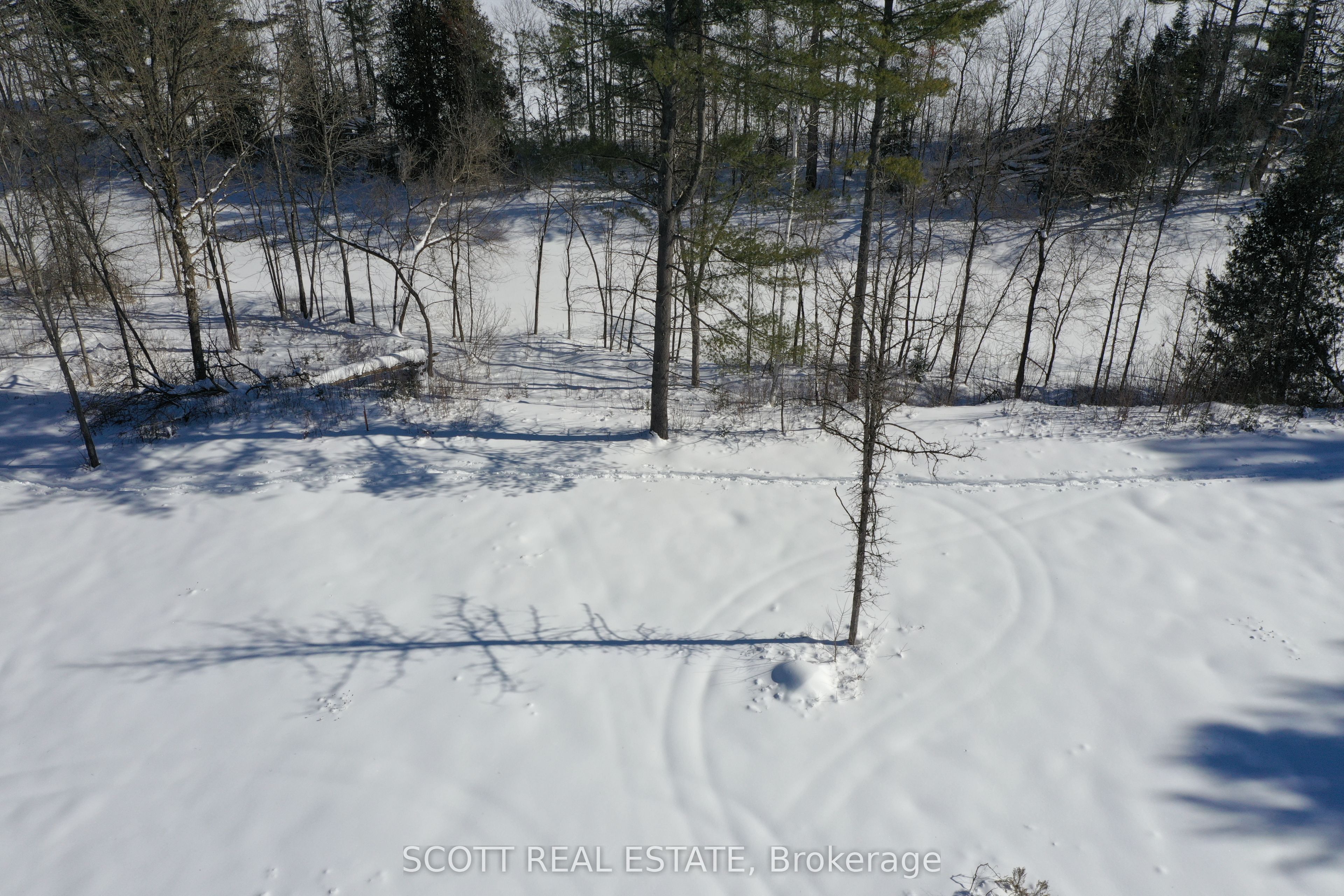 000 Mud Lake Road Property Photo 13