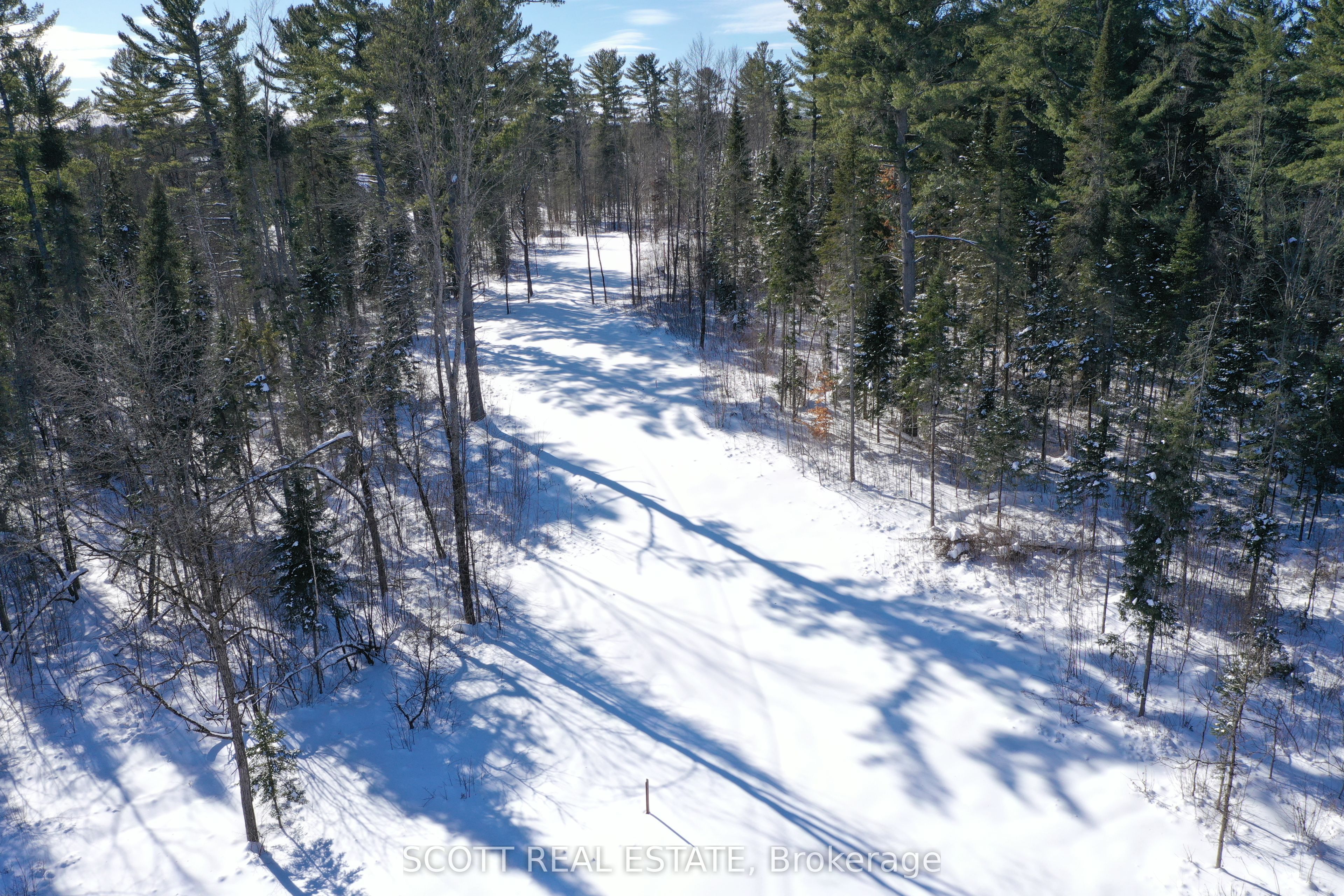 000 Mud Lake Road Property Photo 14
