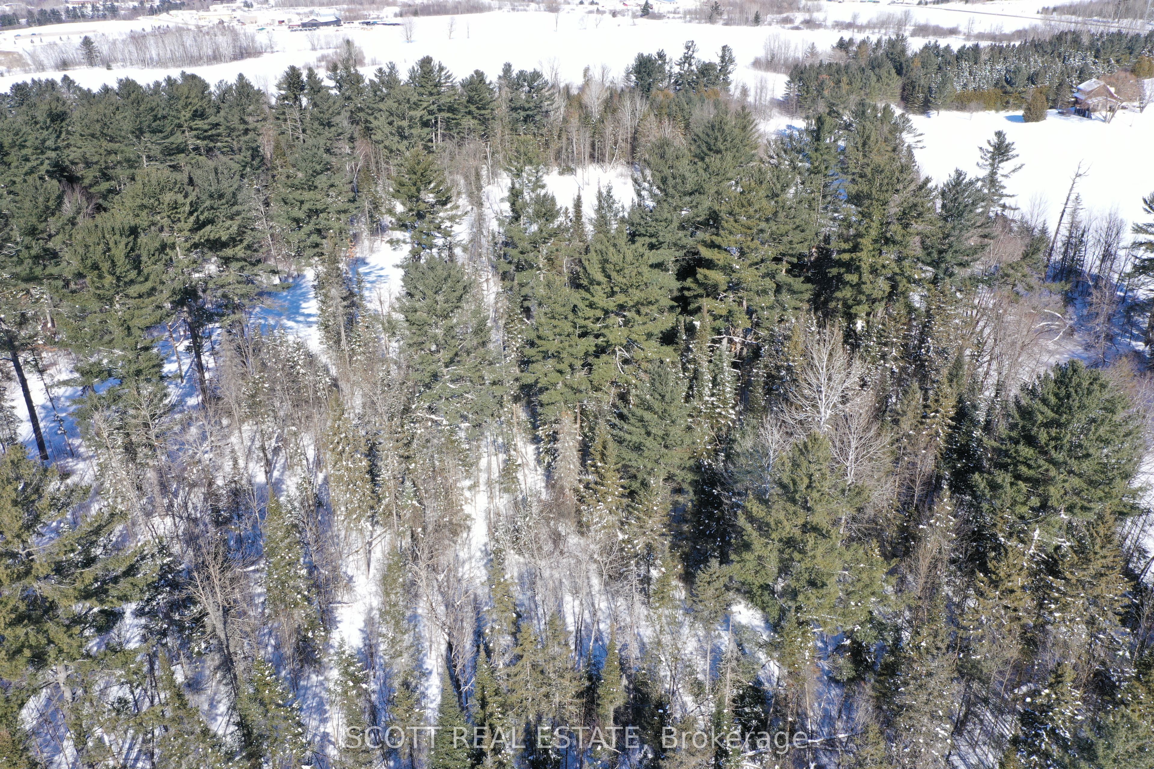 000 Mud Lake Road Property Photo 17