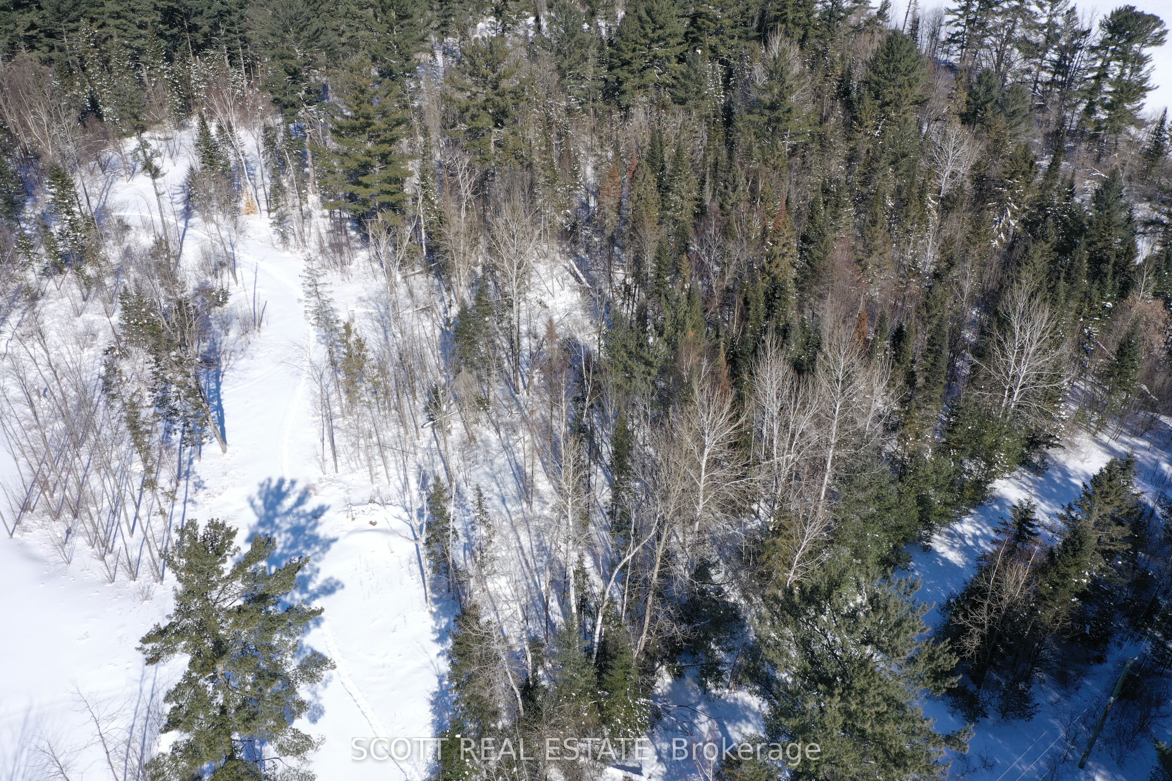 000 Mud Lake Road Property Photo 20